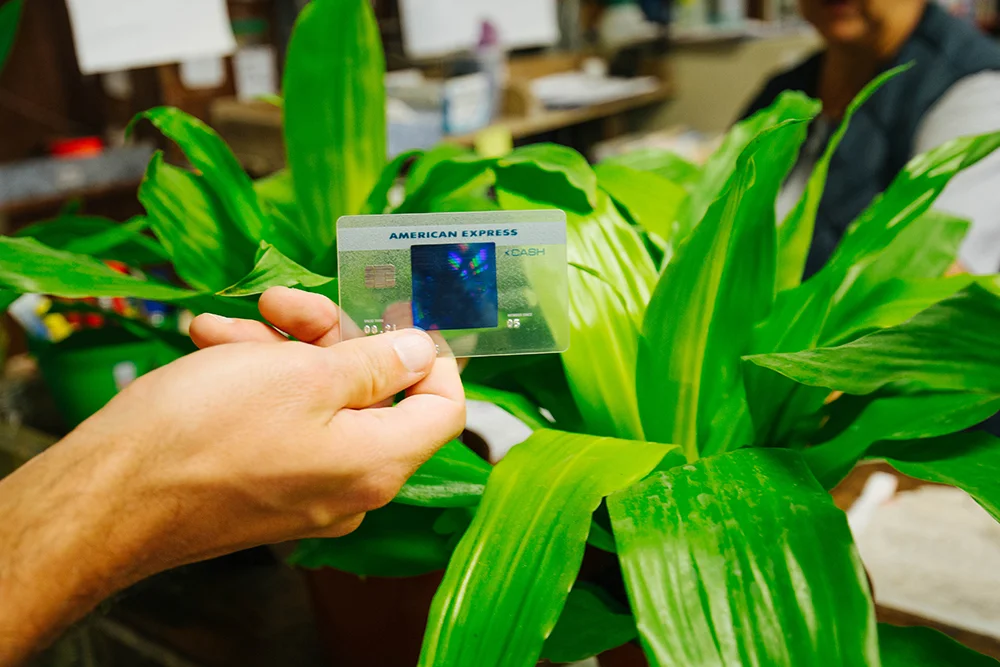 Old Brand New • New Orleans