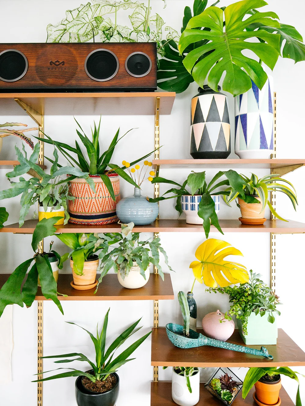 Beats & Botanicals with House of Marley