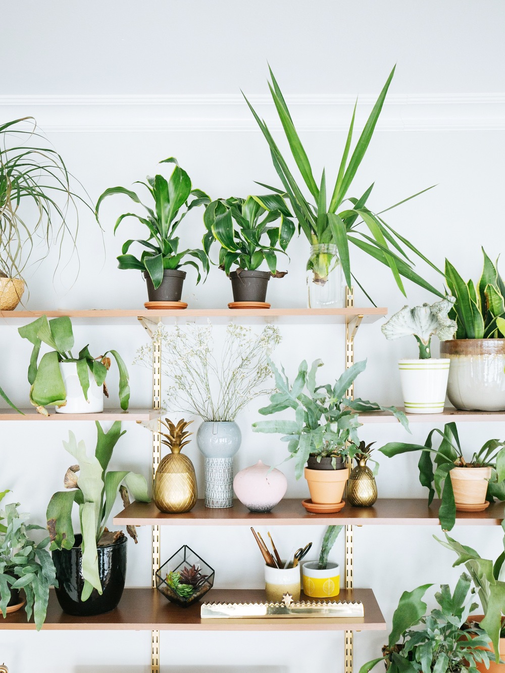 Returning Dead Plants 