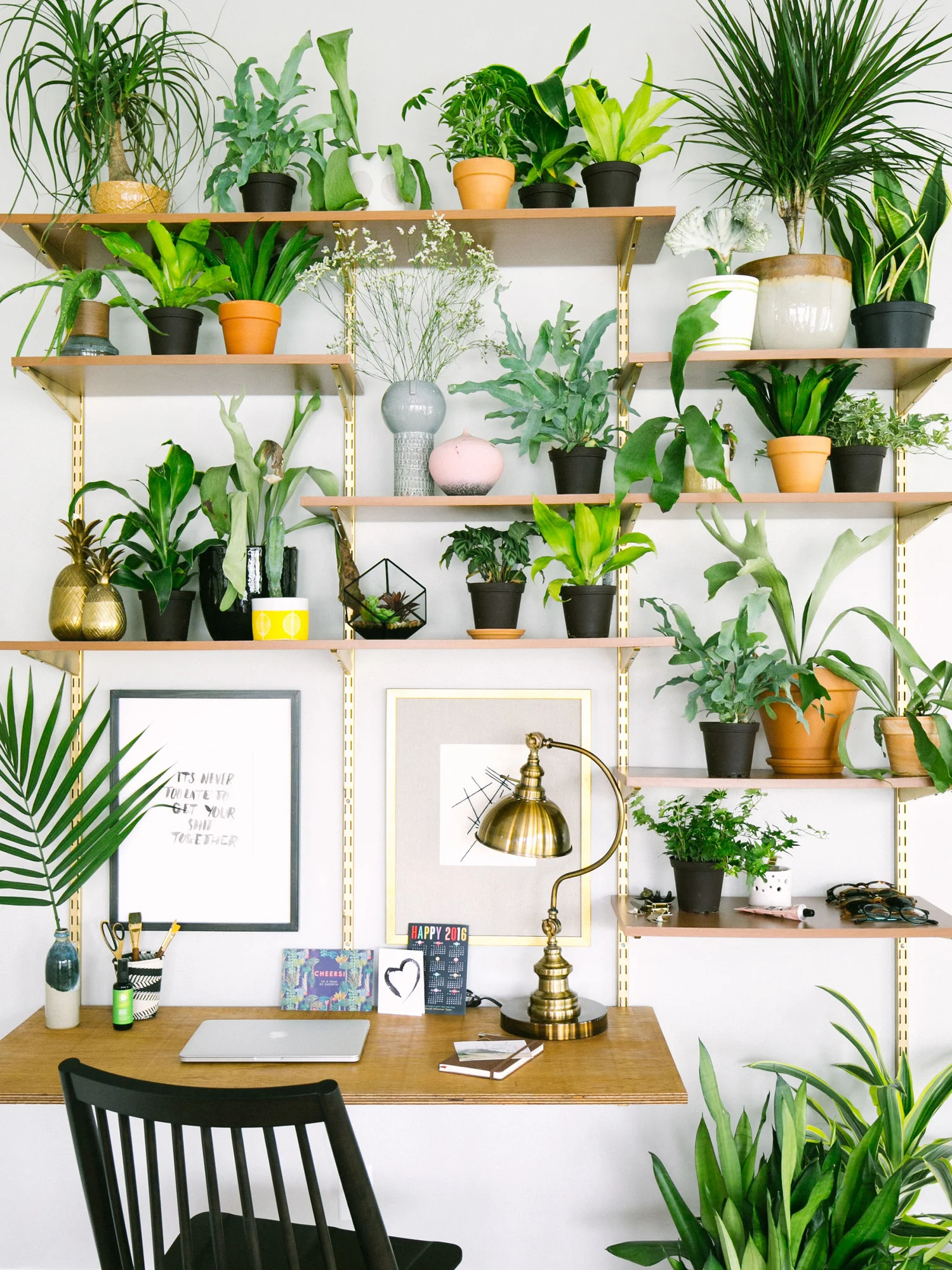 15 Gorgeous Ways to Decorate with Plants 