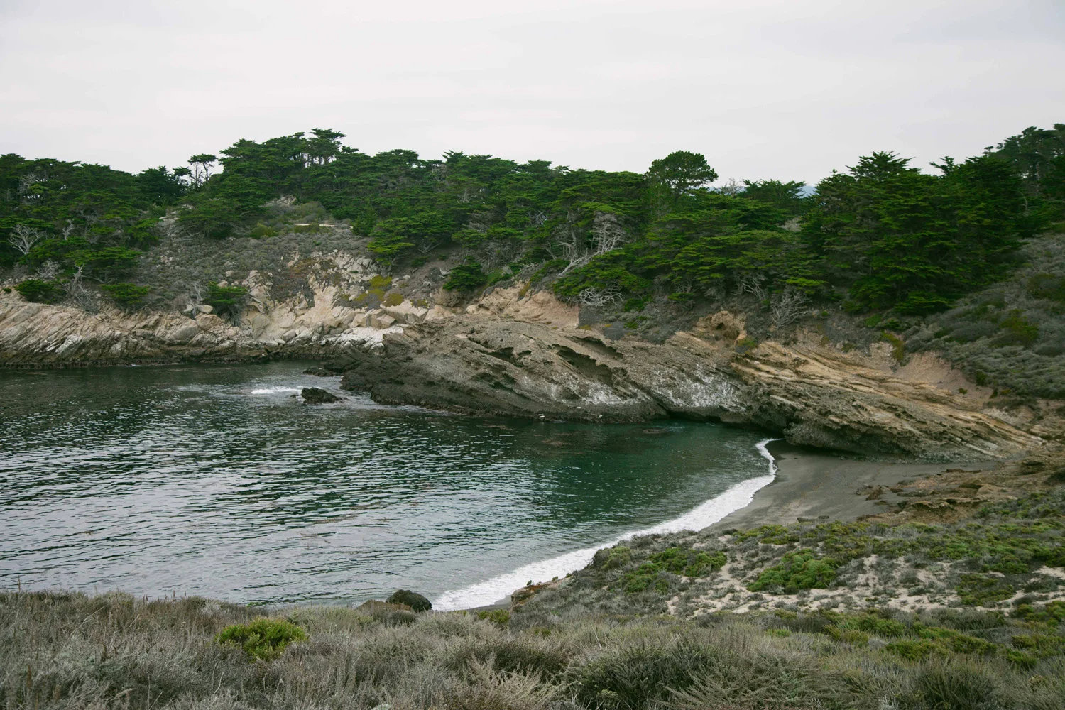 Surprise Getaway in Carmel with Amex and Airbnb