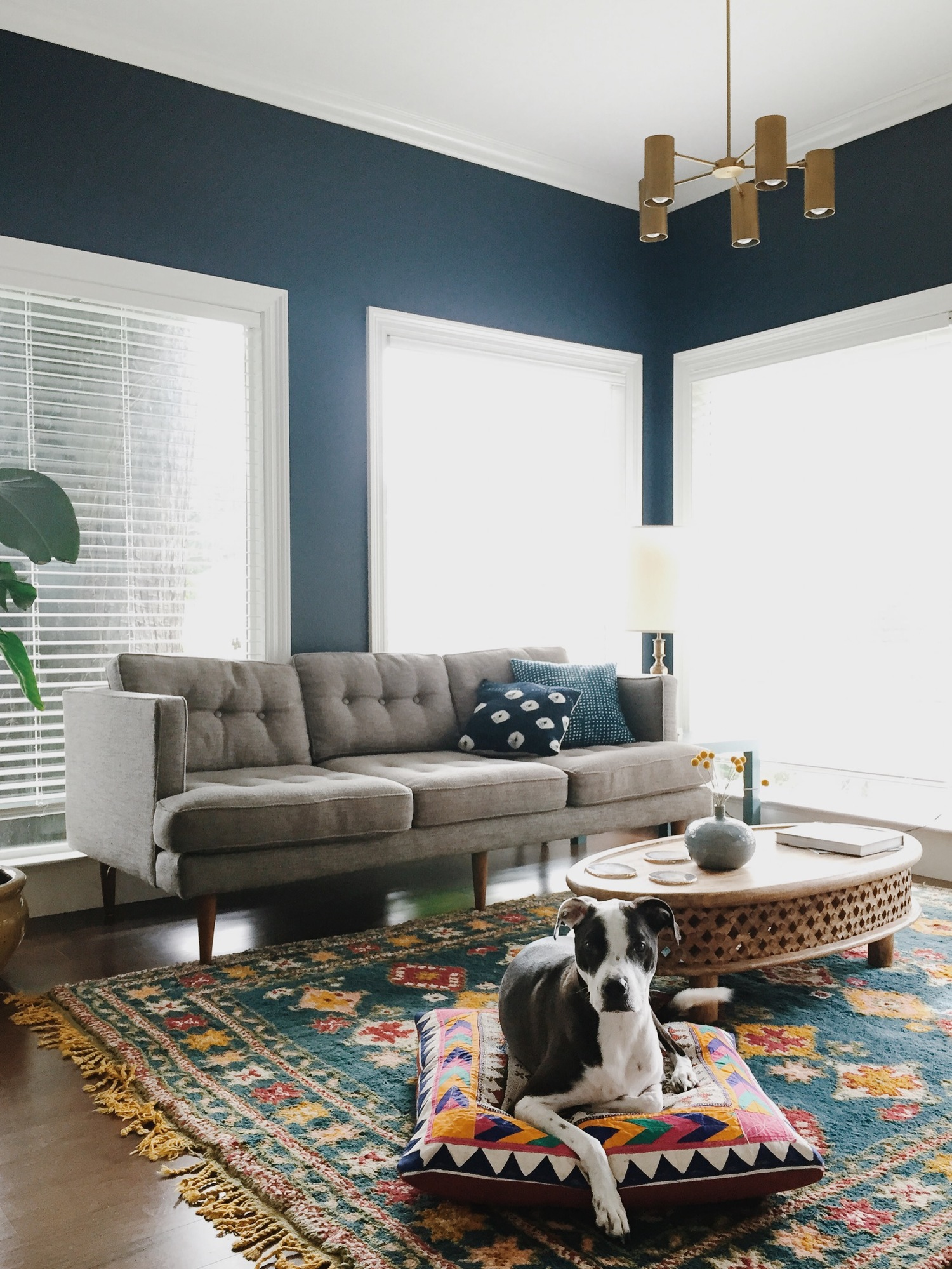 #TruliHome with Trulia