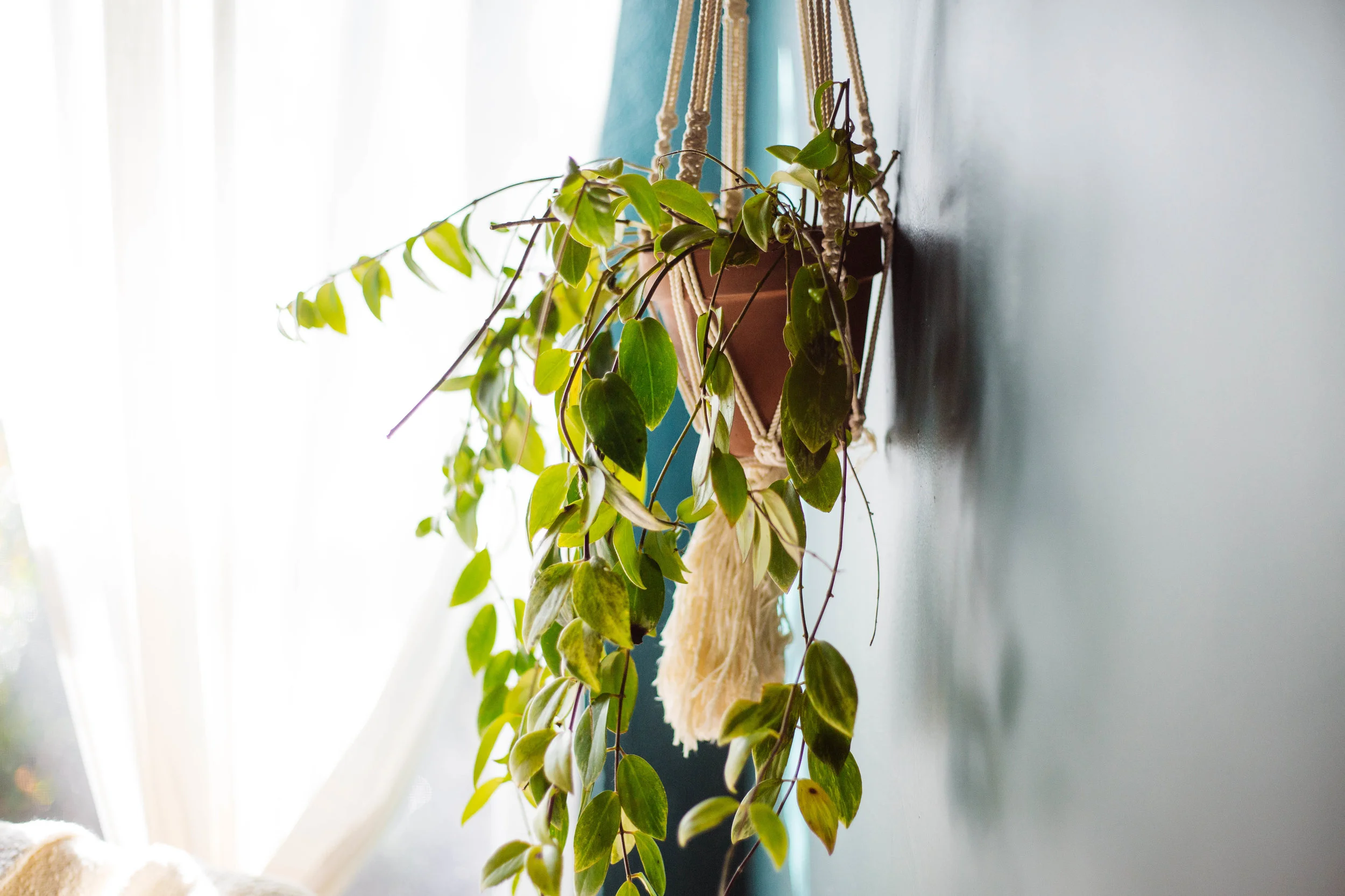 Old Brand New • Arteboheme Home Tour