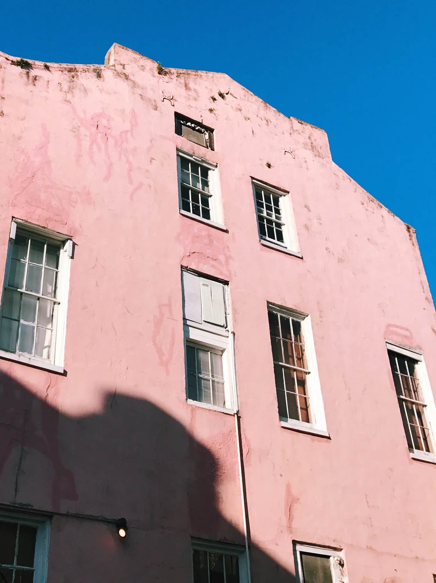 Celebrating Three Years in New Orleans — OLD BRAND NEW