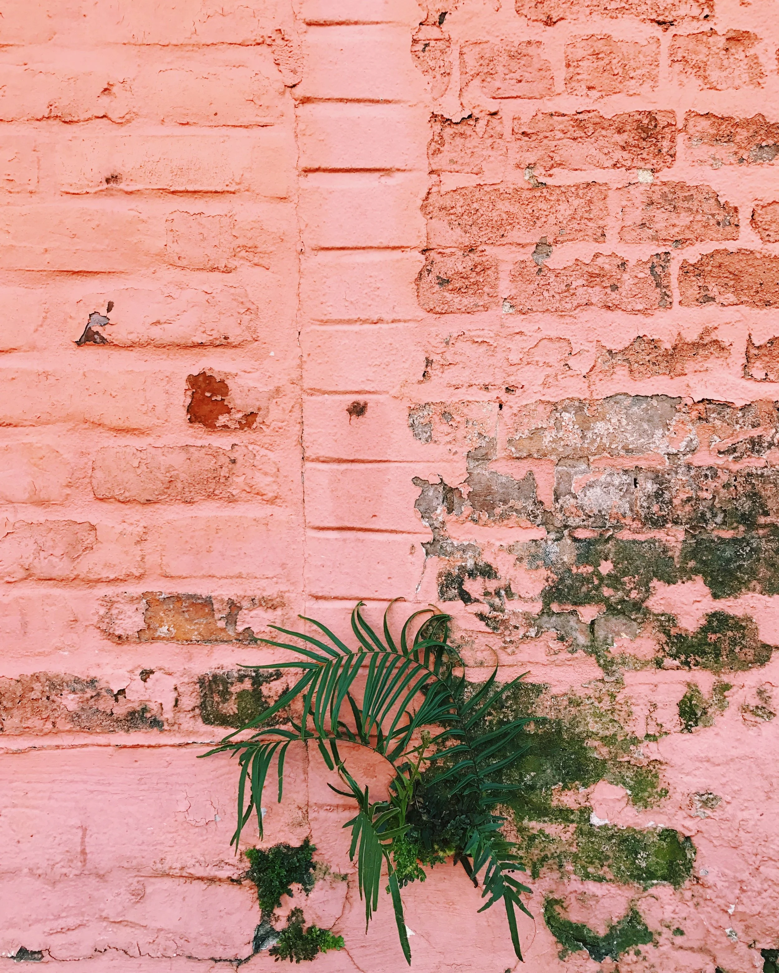 Celebrating Three Years in New Orleans