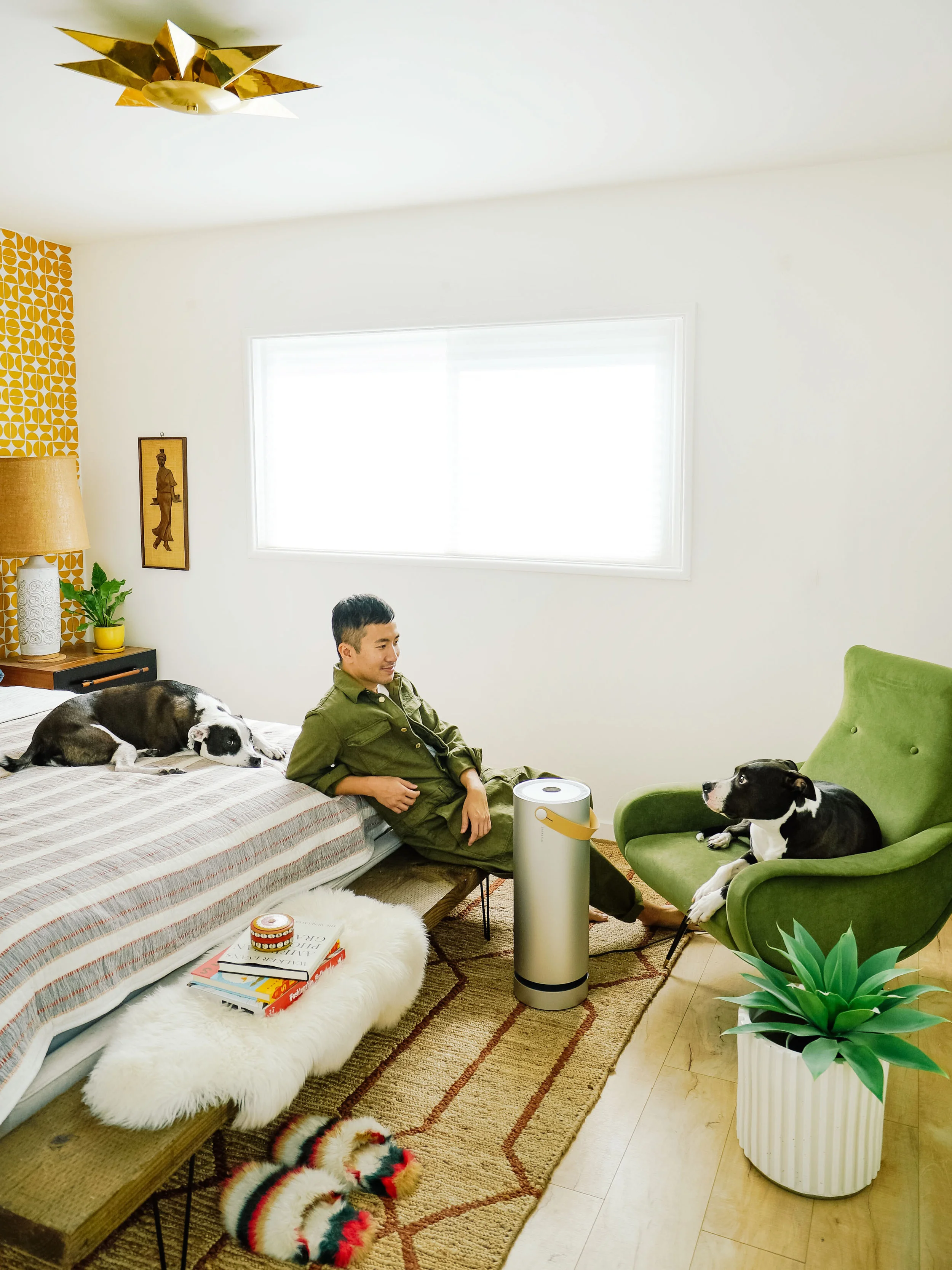 How We’re Keeping the Air Healthy for our Pups (and Ourselves) with Molekule