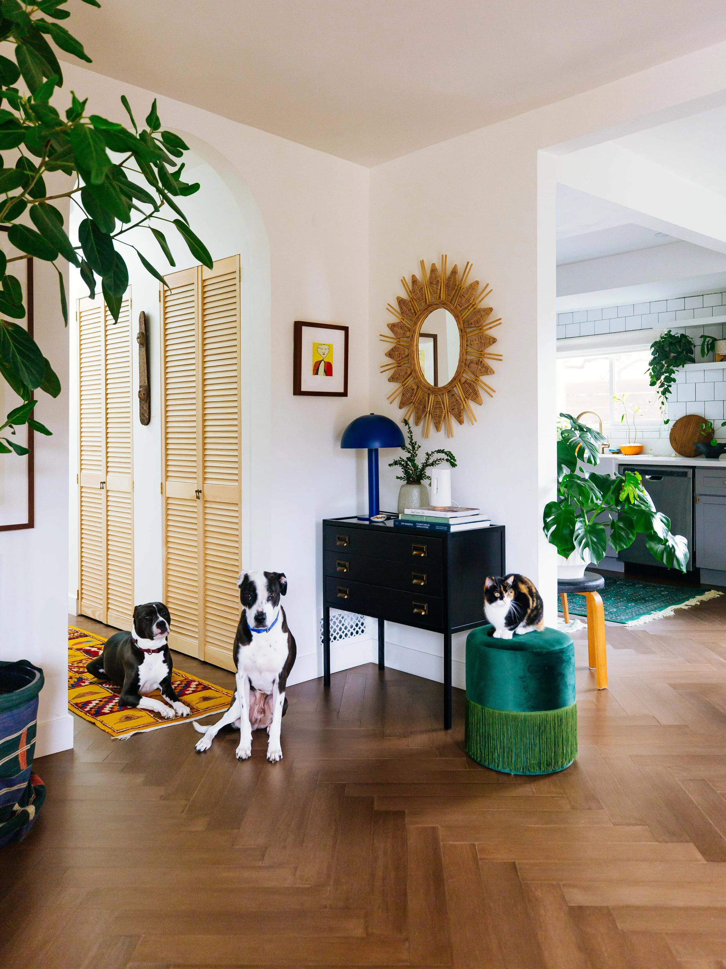 The Key To Entertaining With Pets