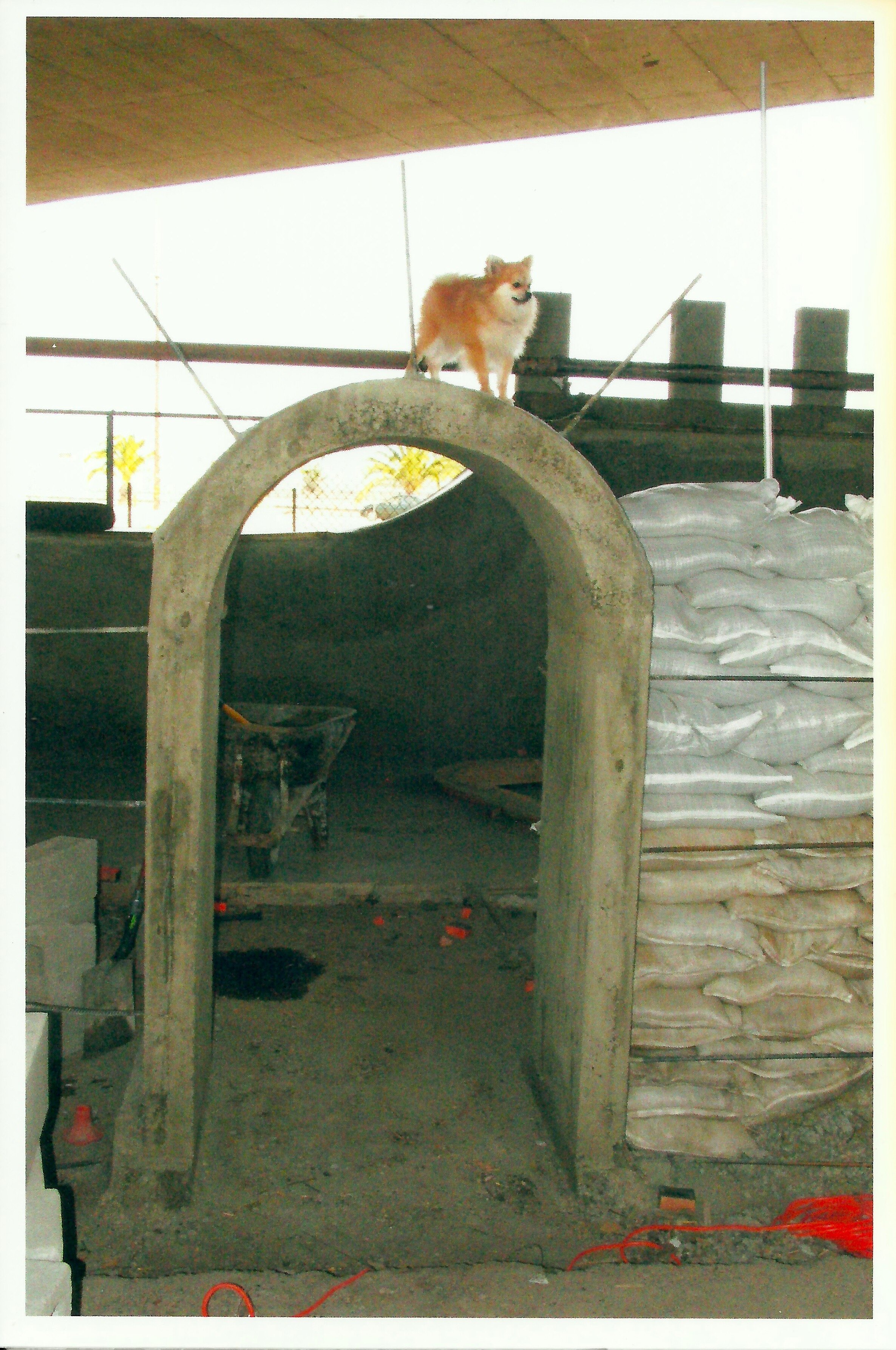 construction_102_buddy.jpeg