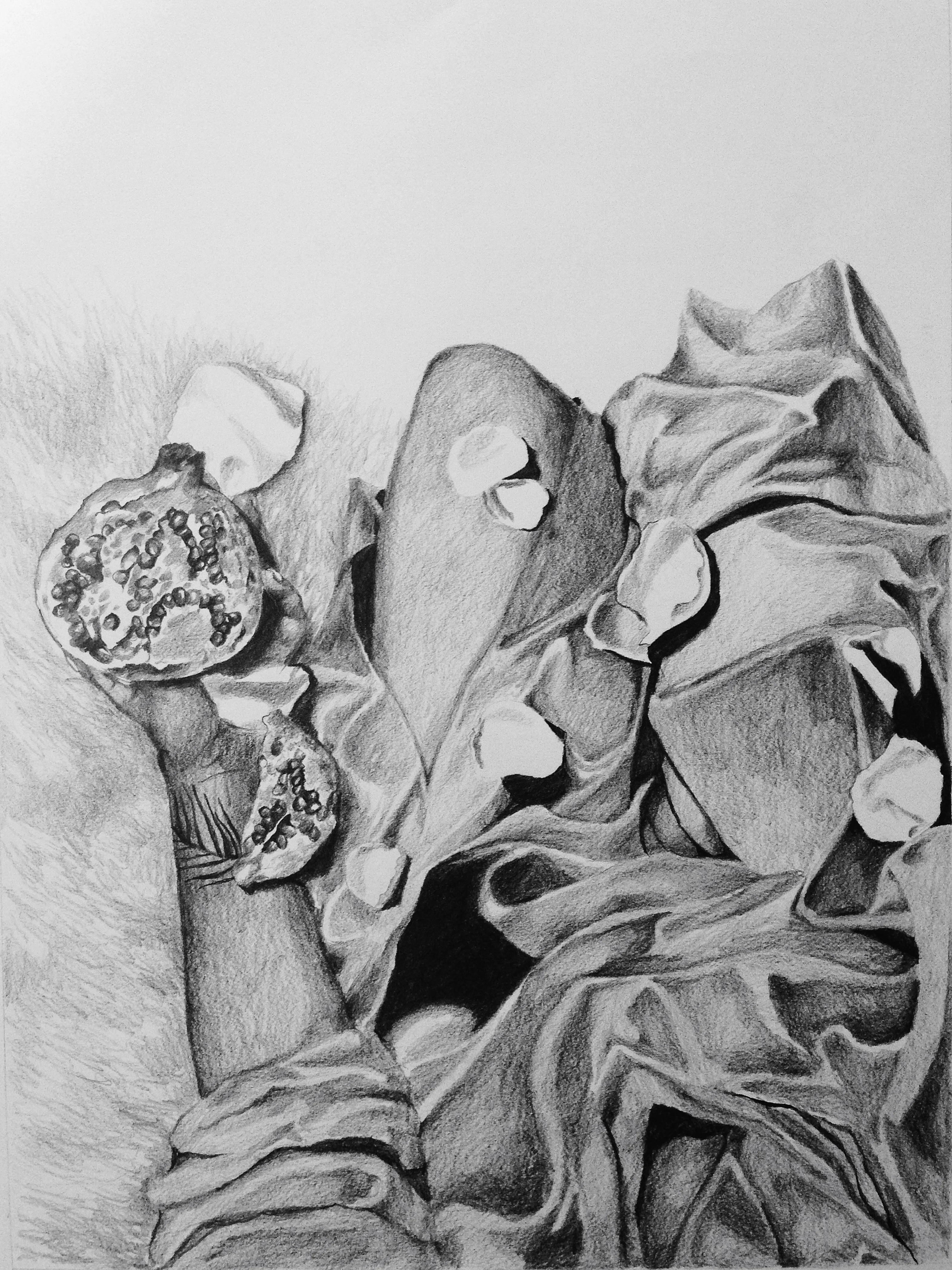 The First Time I Ate Pomegranate Was Three Years Ago