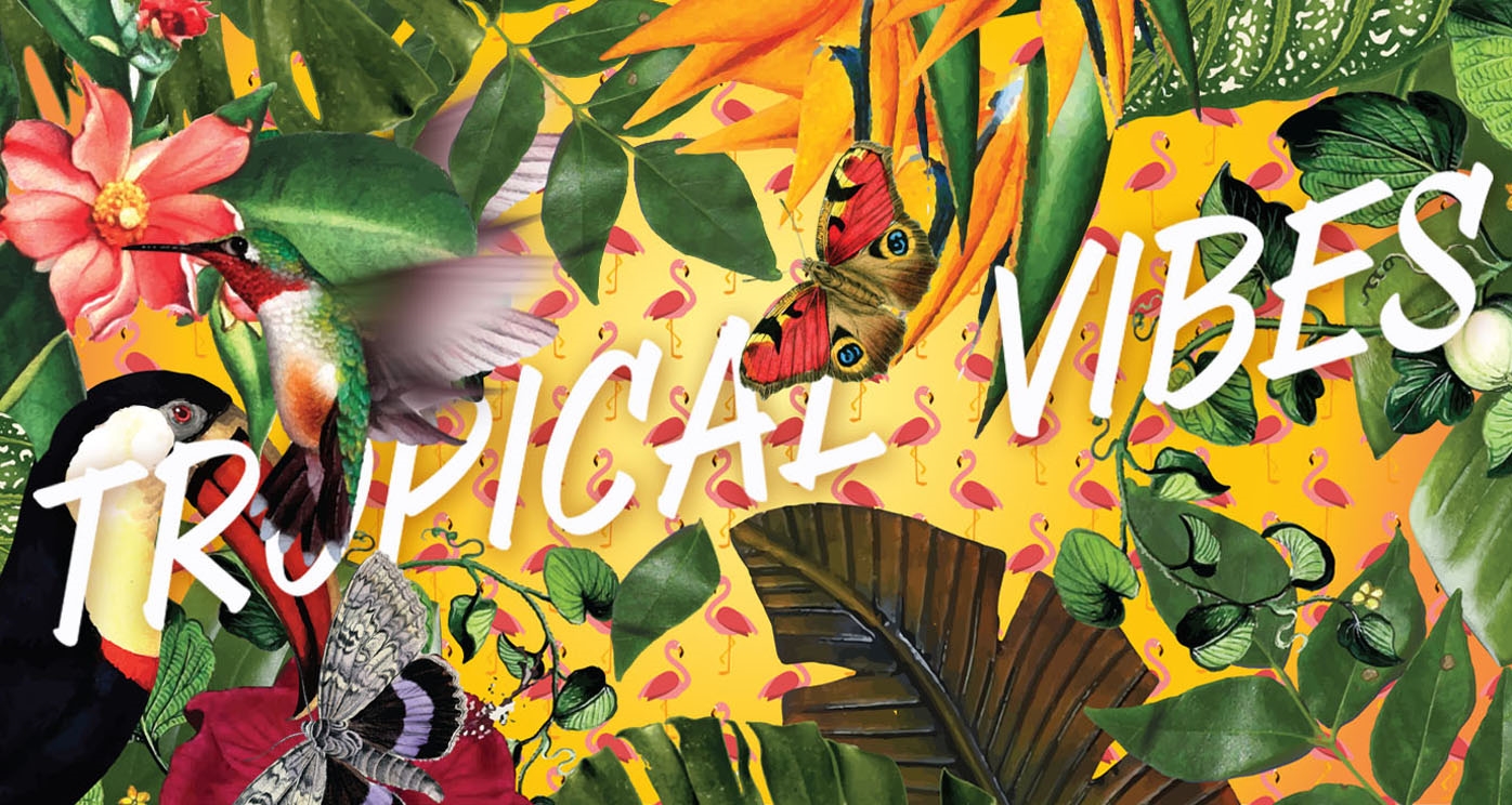 Tropical Vibes