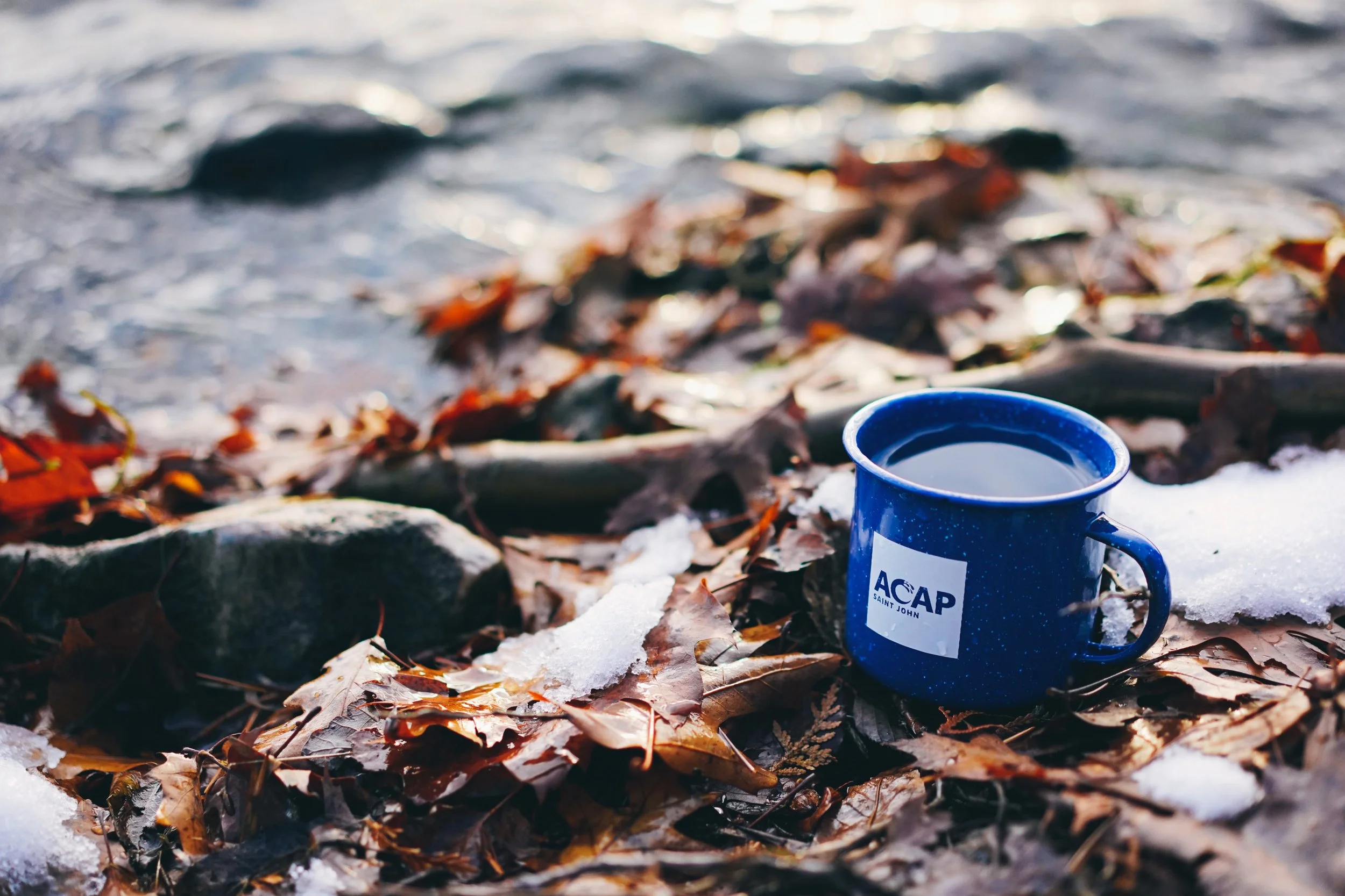 Enamel ACAP Mug 2.JPG