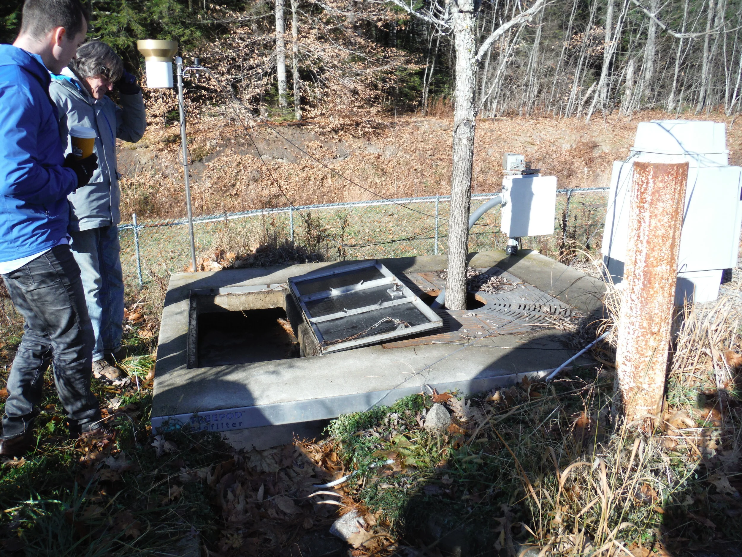 Photo 5: Tree box filter.