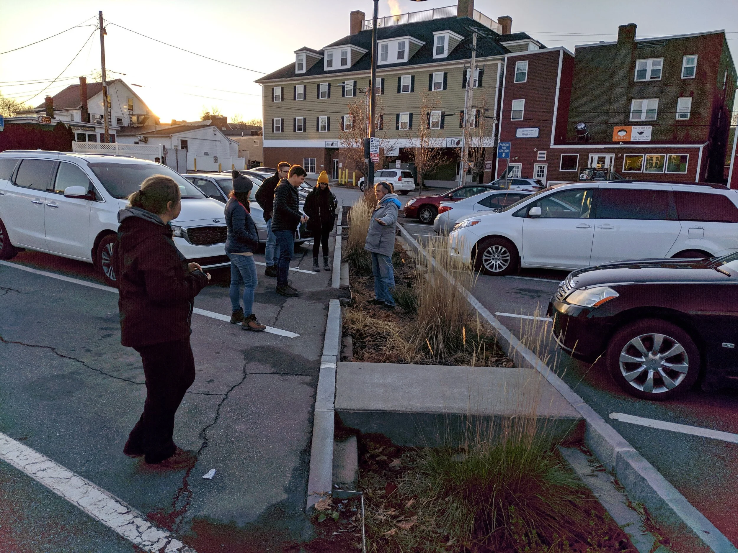 Photo 1: Parking lot bioretention filter.
