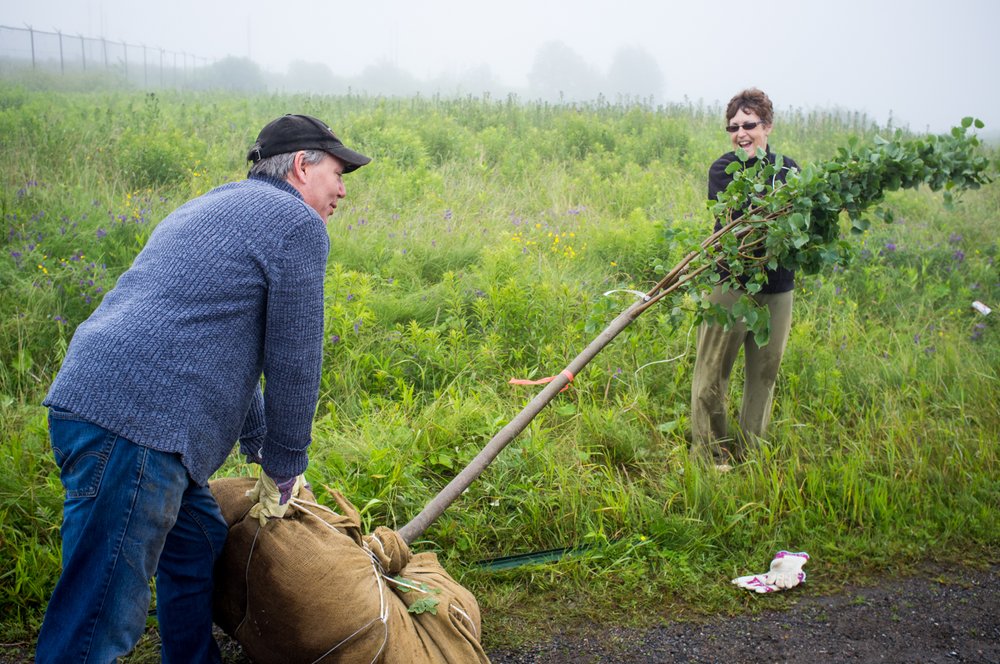 ACAPtree-planting-GBarfoot-8.jpg