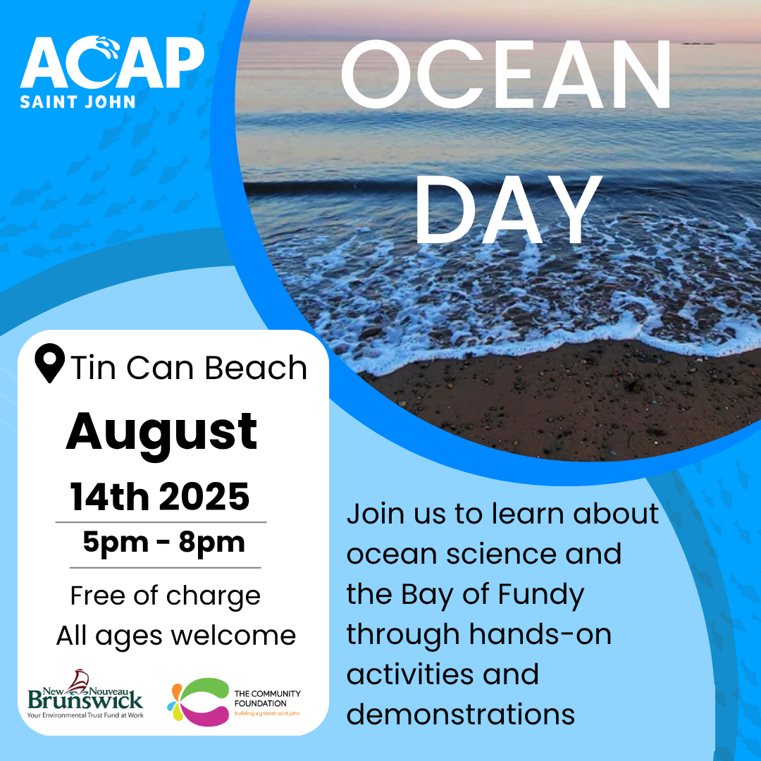 Ocean Day