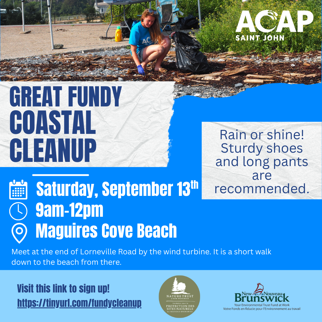 Great Fundy Coastal Cleanup
