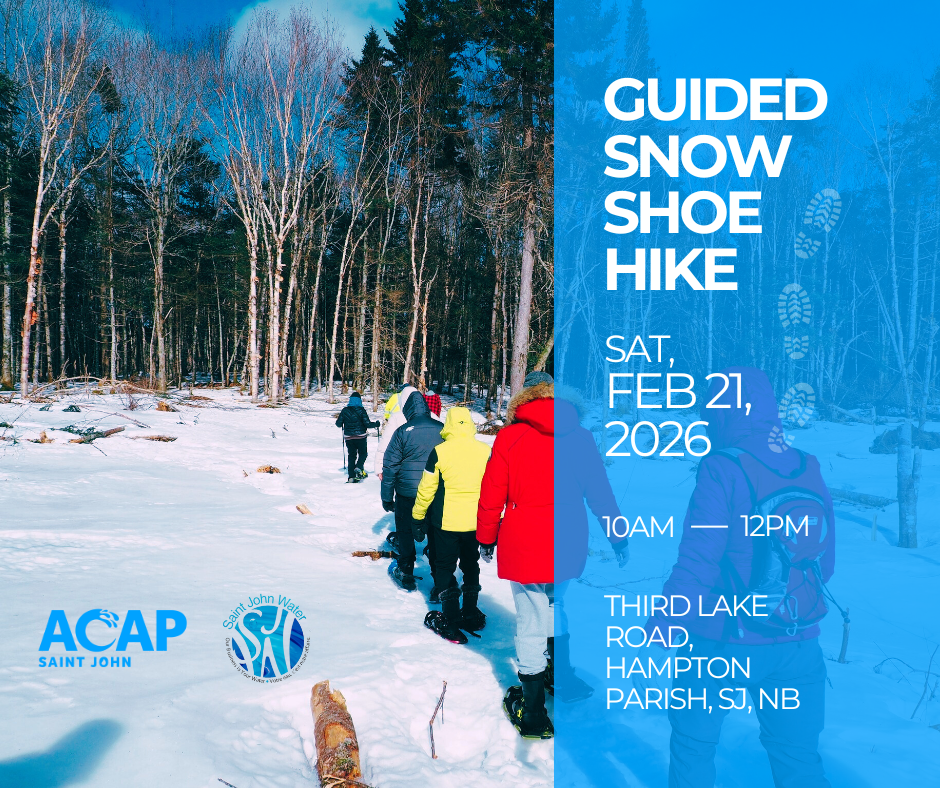 Guided Snowshoe Hike