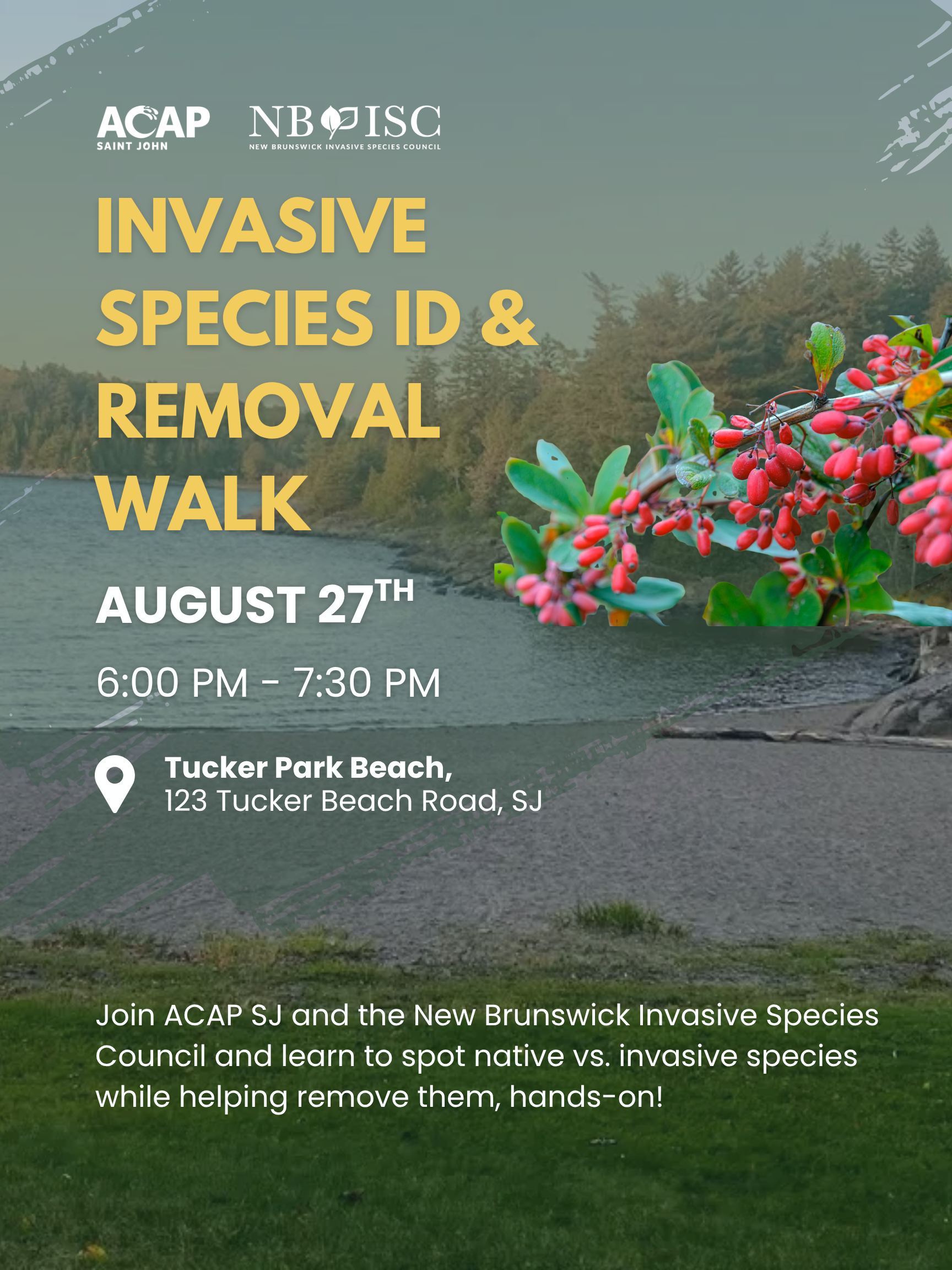 Invasive species ID and removal walk