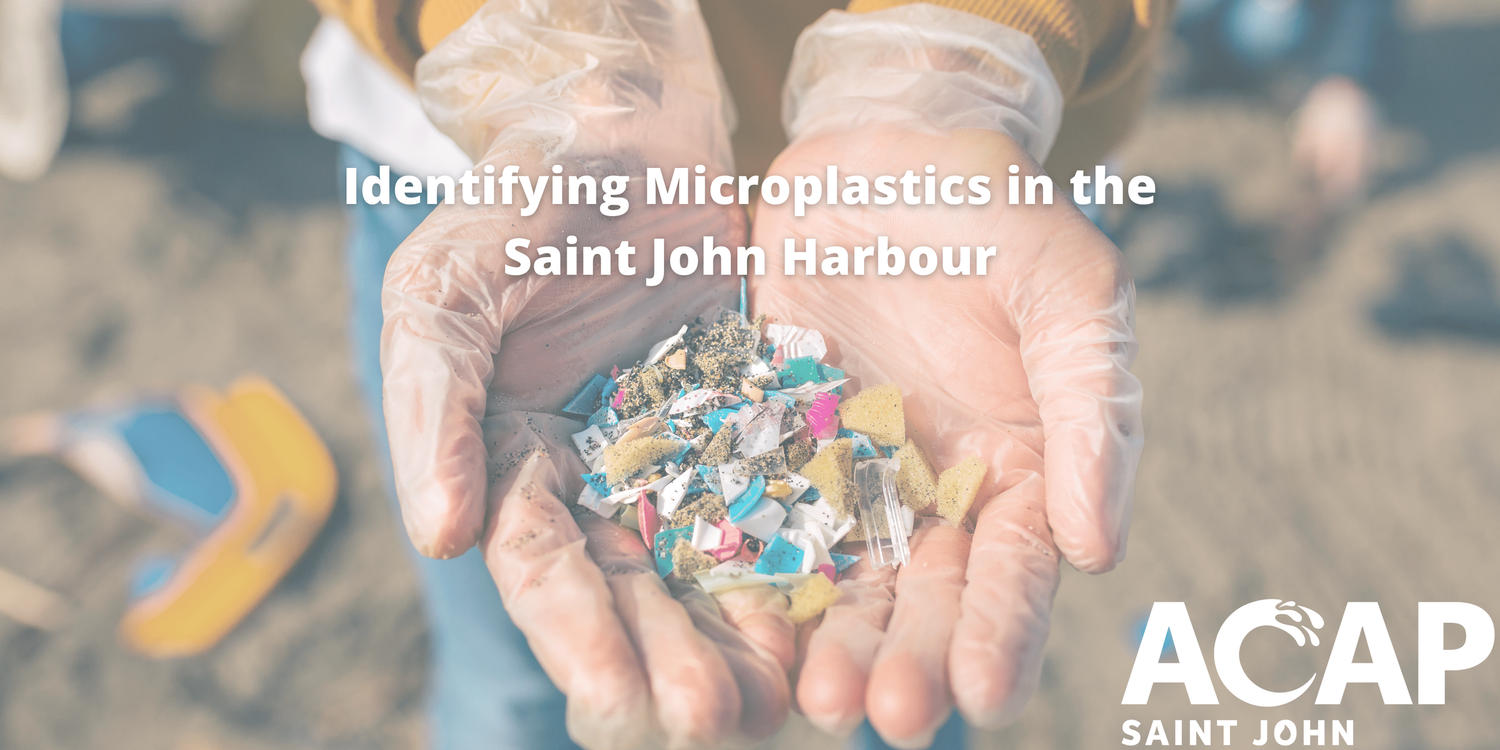 Identifying Microplastics in the Saint John Harbour — ACAP Saint John