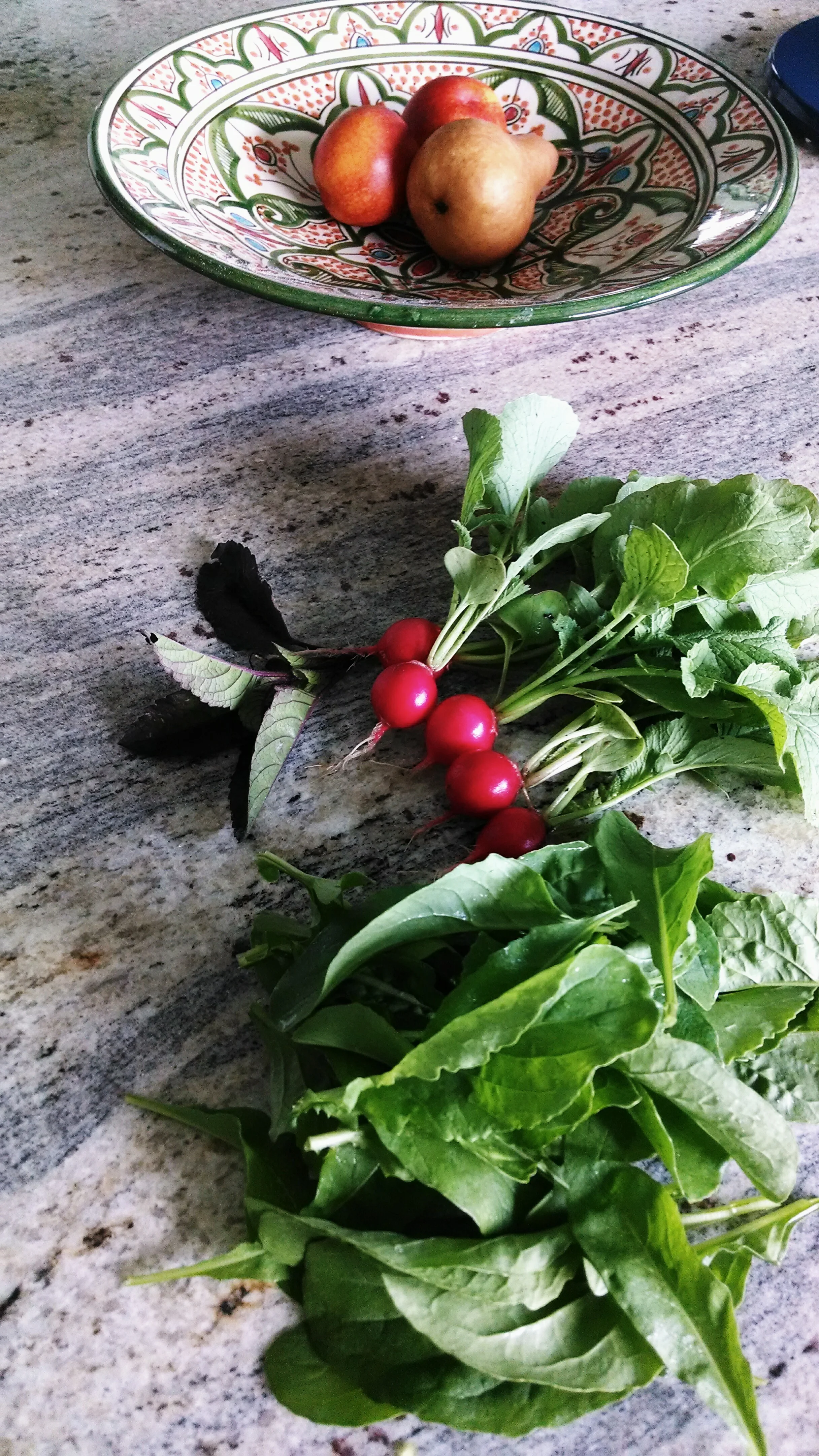 radishes.jpg