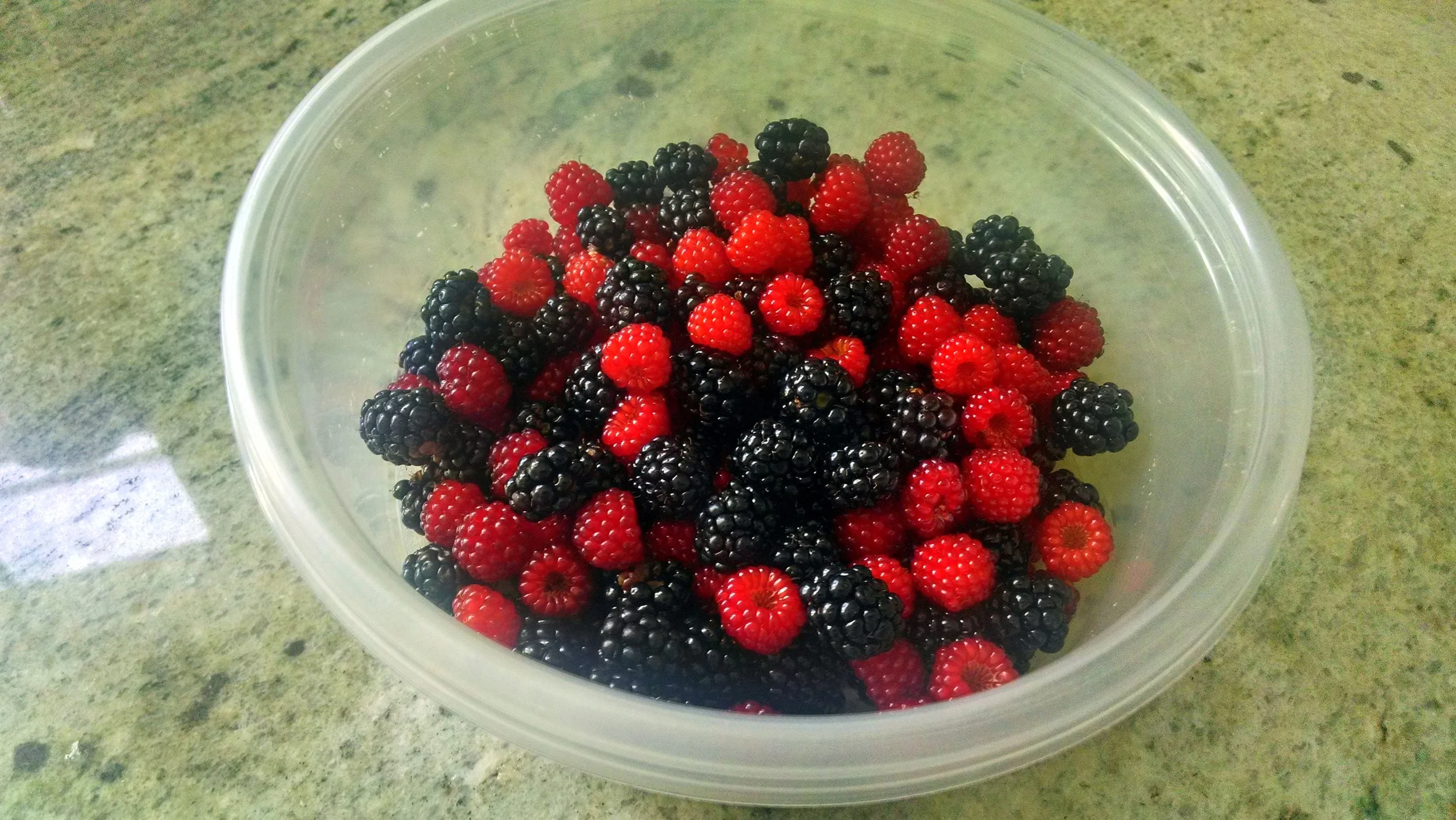 berries.jpg
