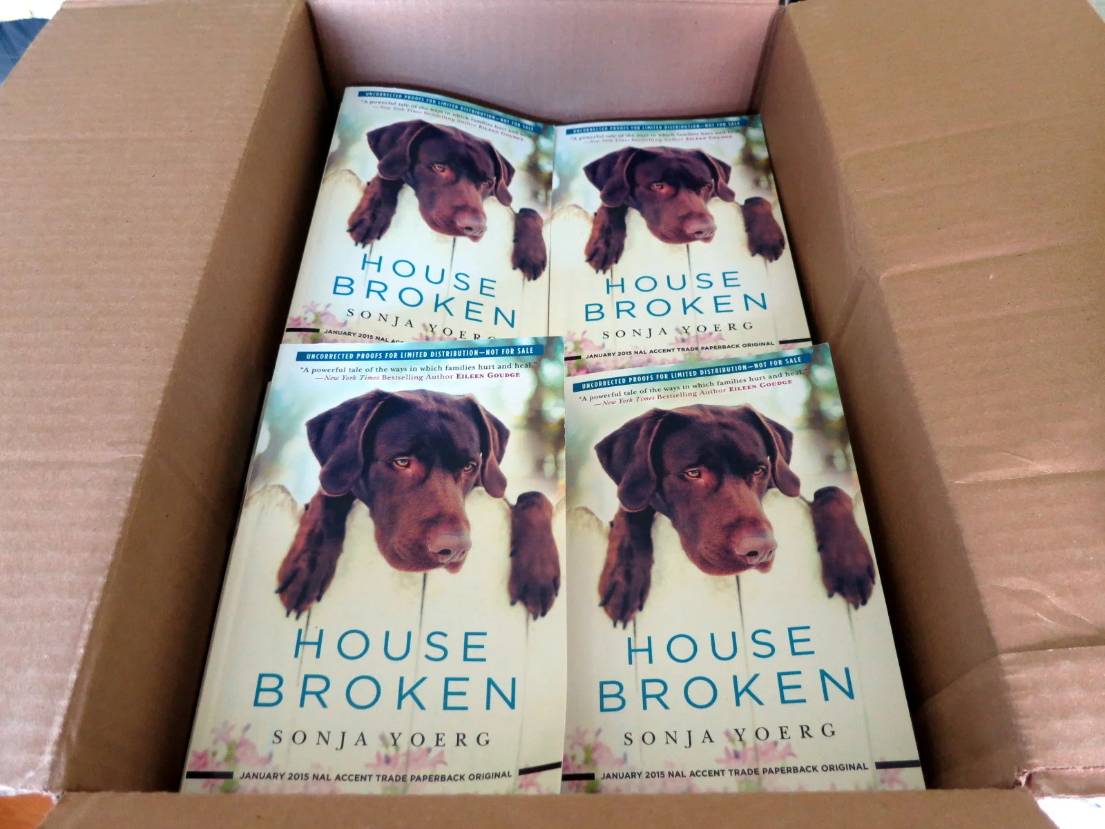 Galleys.jpg