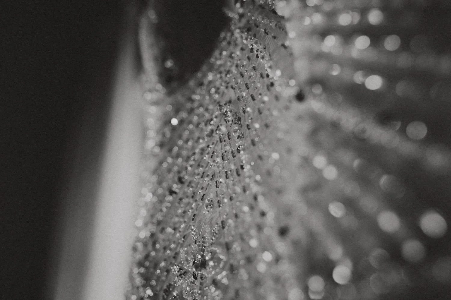 The-Baltic-Indian-Wedding-0.jpg