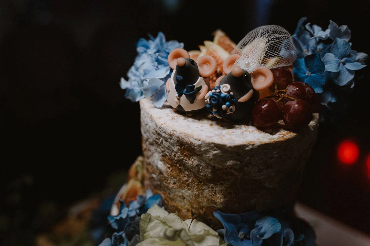 Lartington-Hall-Wedding-photos-100.jpg
