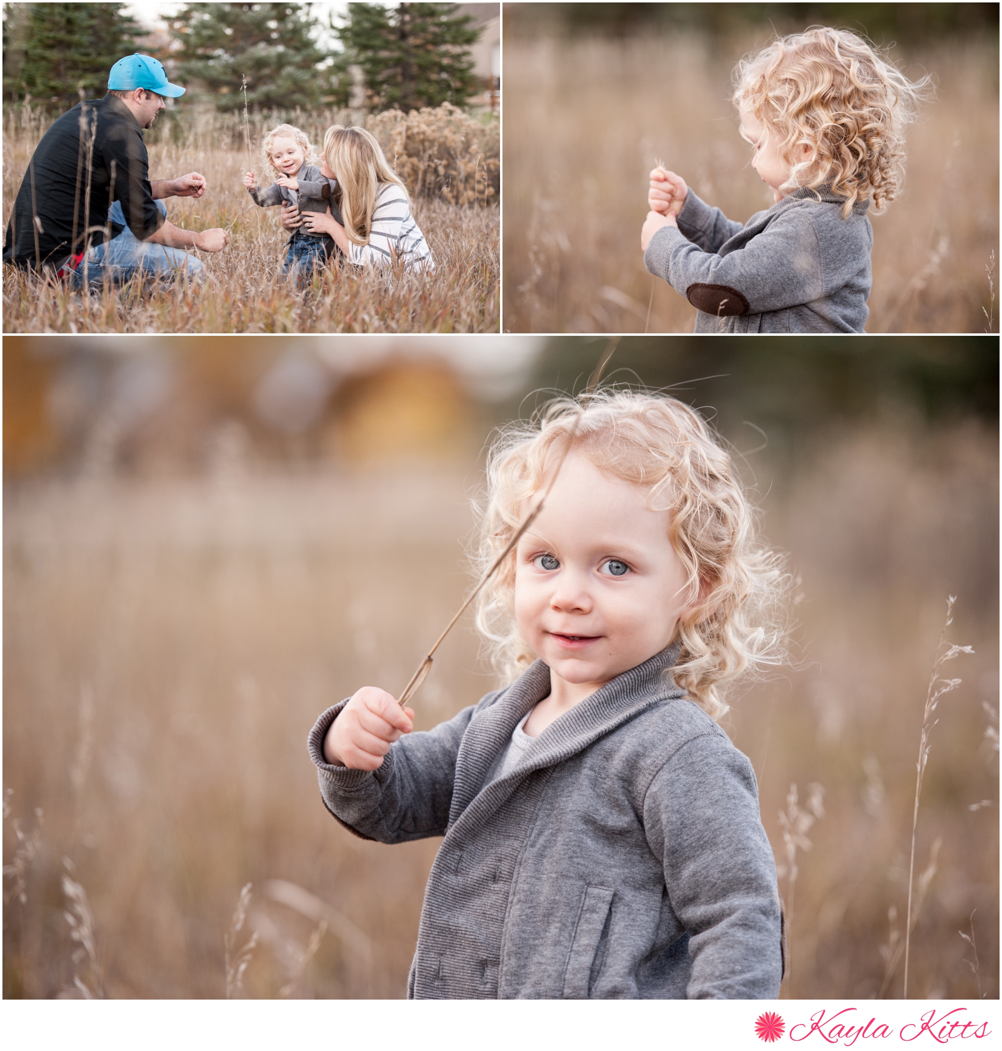 albuquerque family photographer, albuquerque photographer, fort collins photography, fort collins photographer, fort collins family photographer, albuquerque maternity photographer