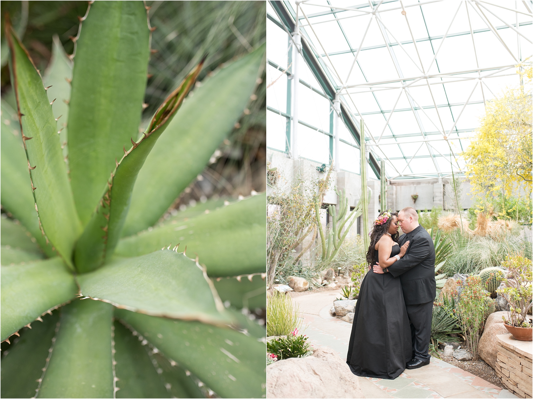 kayla kitts photography - albuquerque wedding photographer - new mexico wedding photographer - desination wedding photographer - botanic garden engagement - phoenix wedding photographer - arizona wedding photographer_0004.jpg