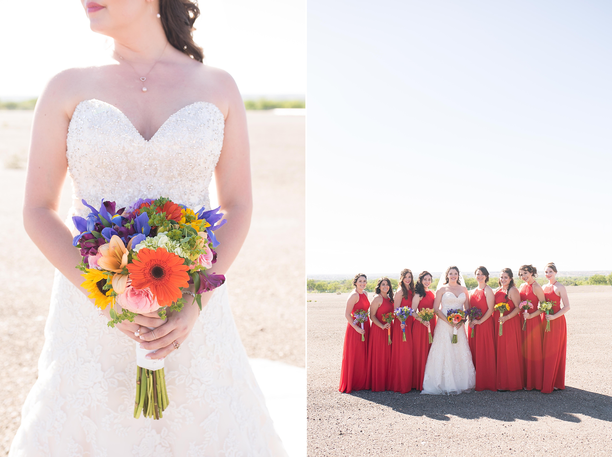 Balloon fiesta wedding with large wedding party in albuquerque new mexico.  Dress by Bridal Elegance by Darlene and jewelry by enchanted jewelers.  Albuquerque Wedding Photographer.
