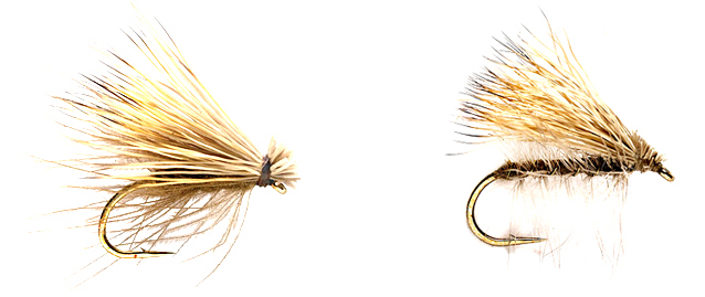 Caddis, sized 10-18 and I carry in a few colors from tan to burnt orange