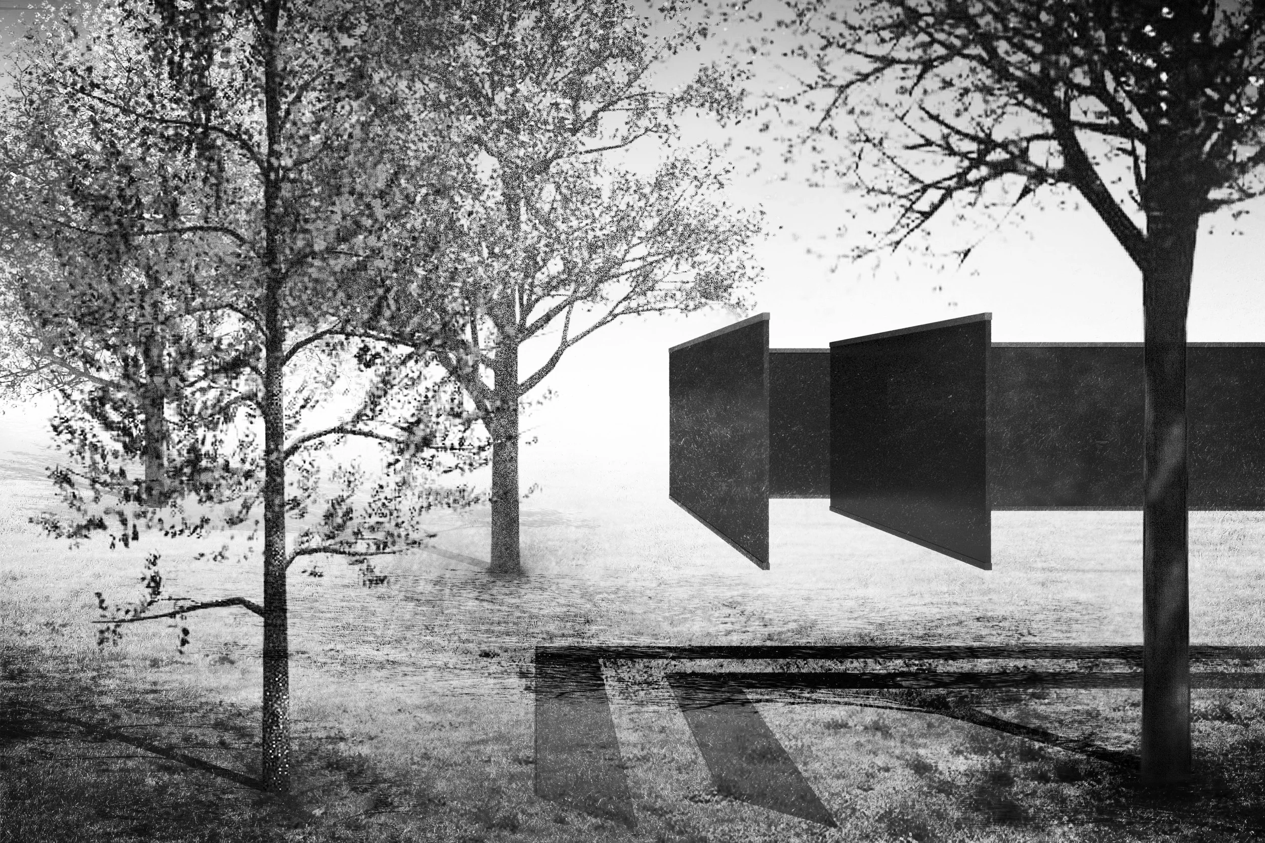 Levitated Maze.jpg
