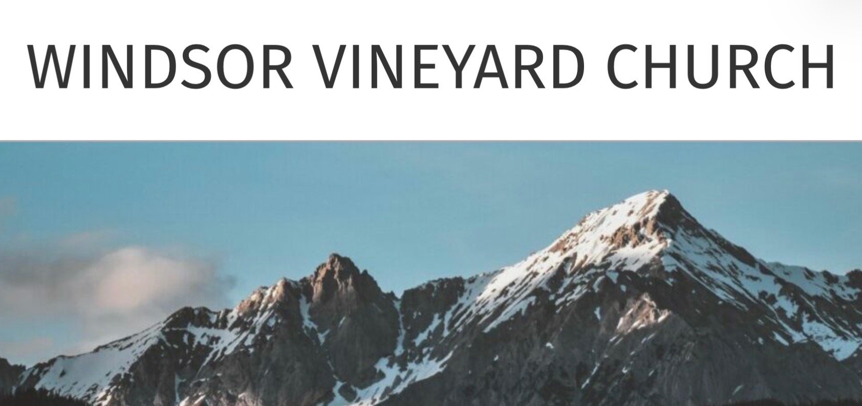 Windsor Vineyard [ Windsor, CO ]