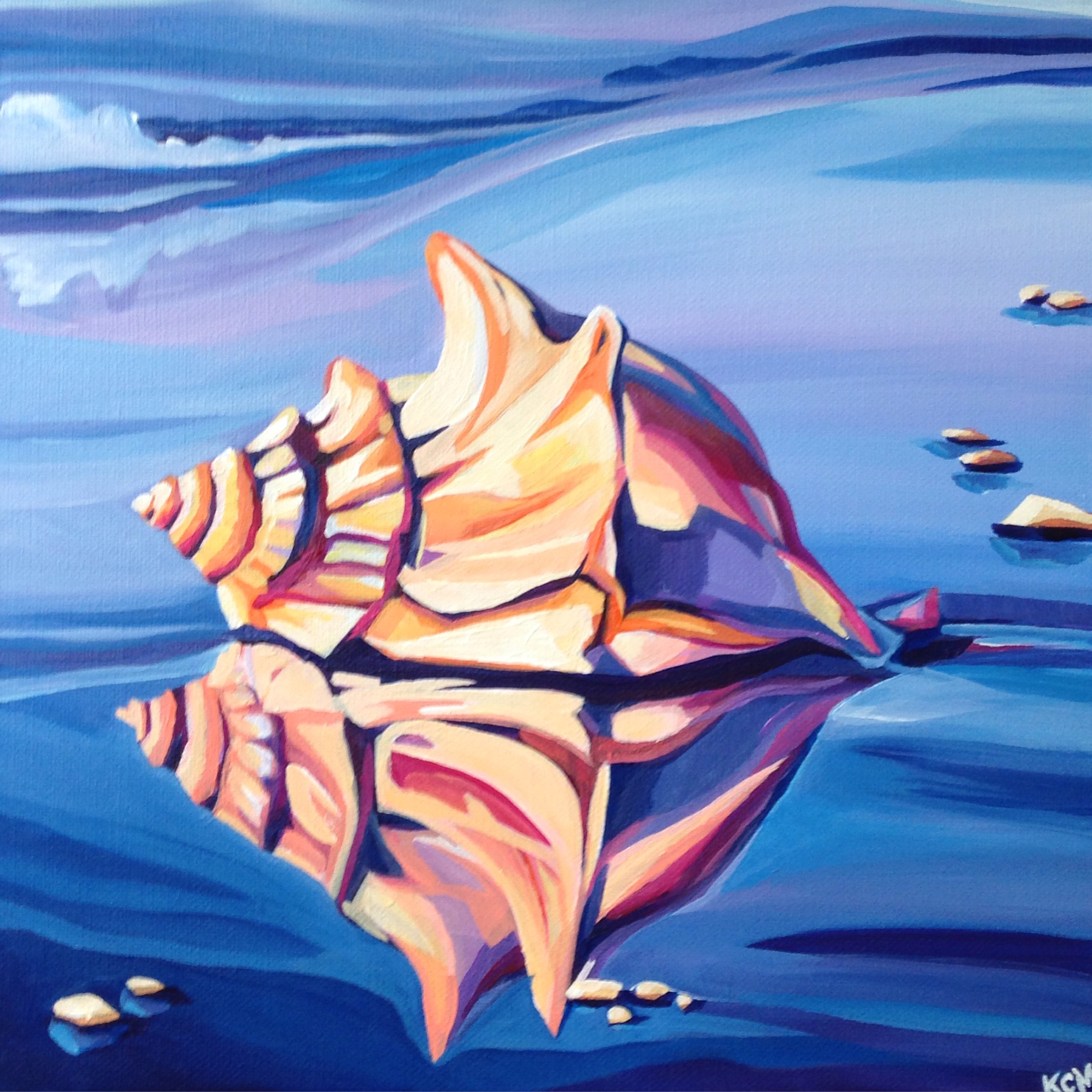 "Conch Reflection"