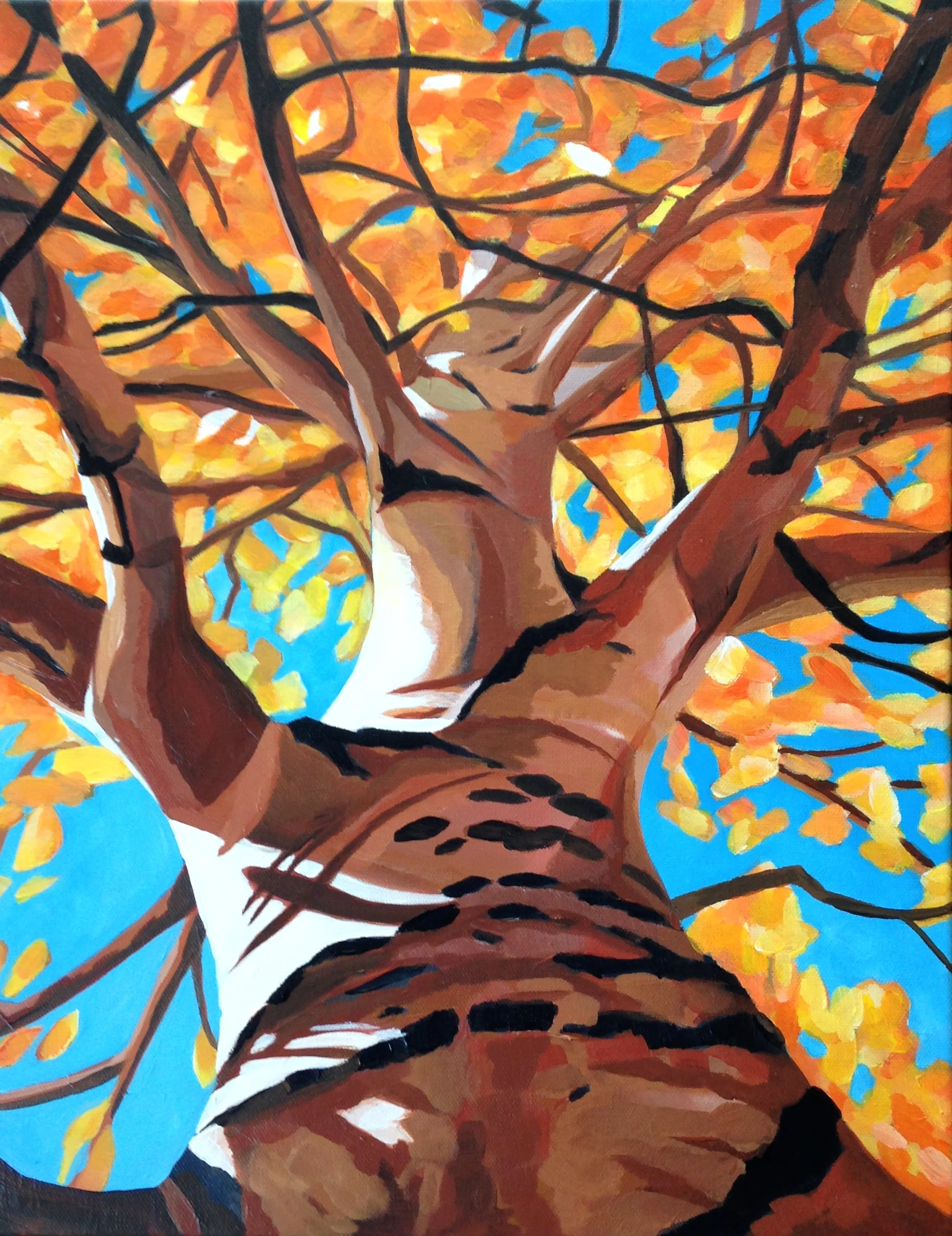 "Aspen Change"