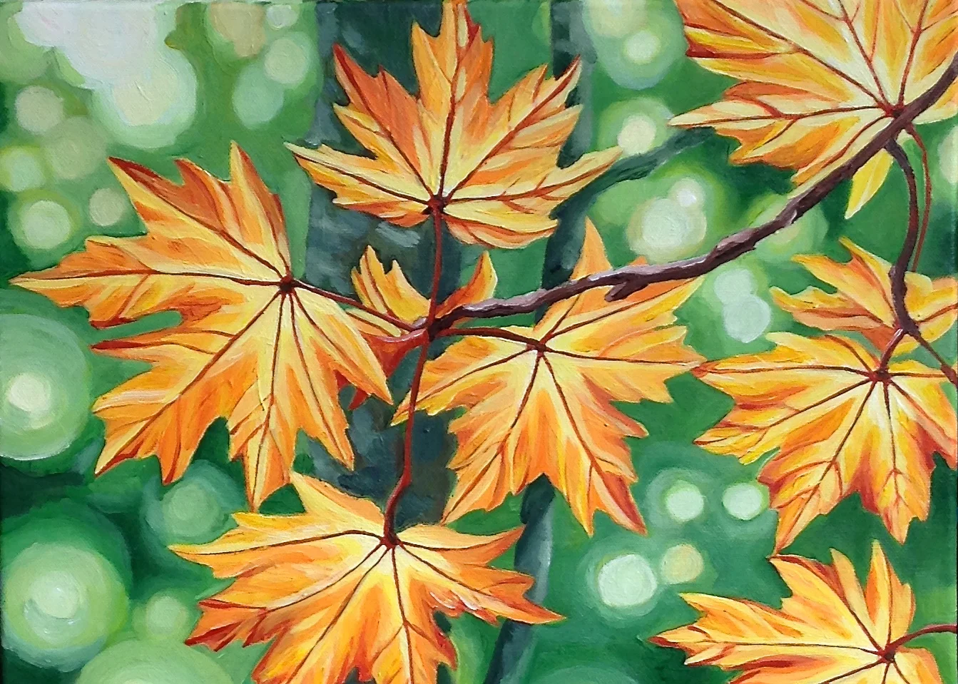 "Glowing Maples"