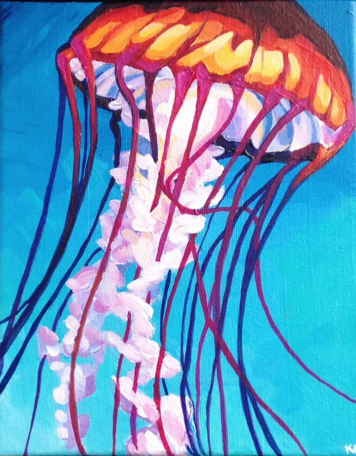 JellyFish.JPG
