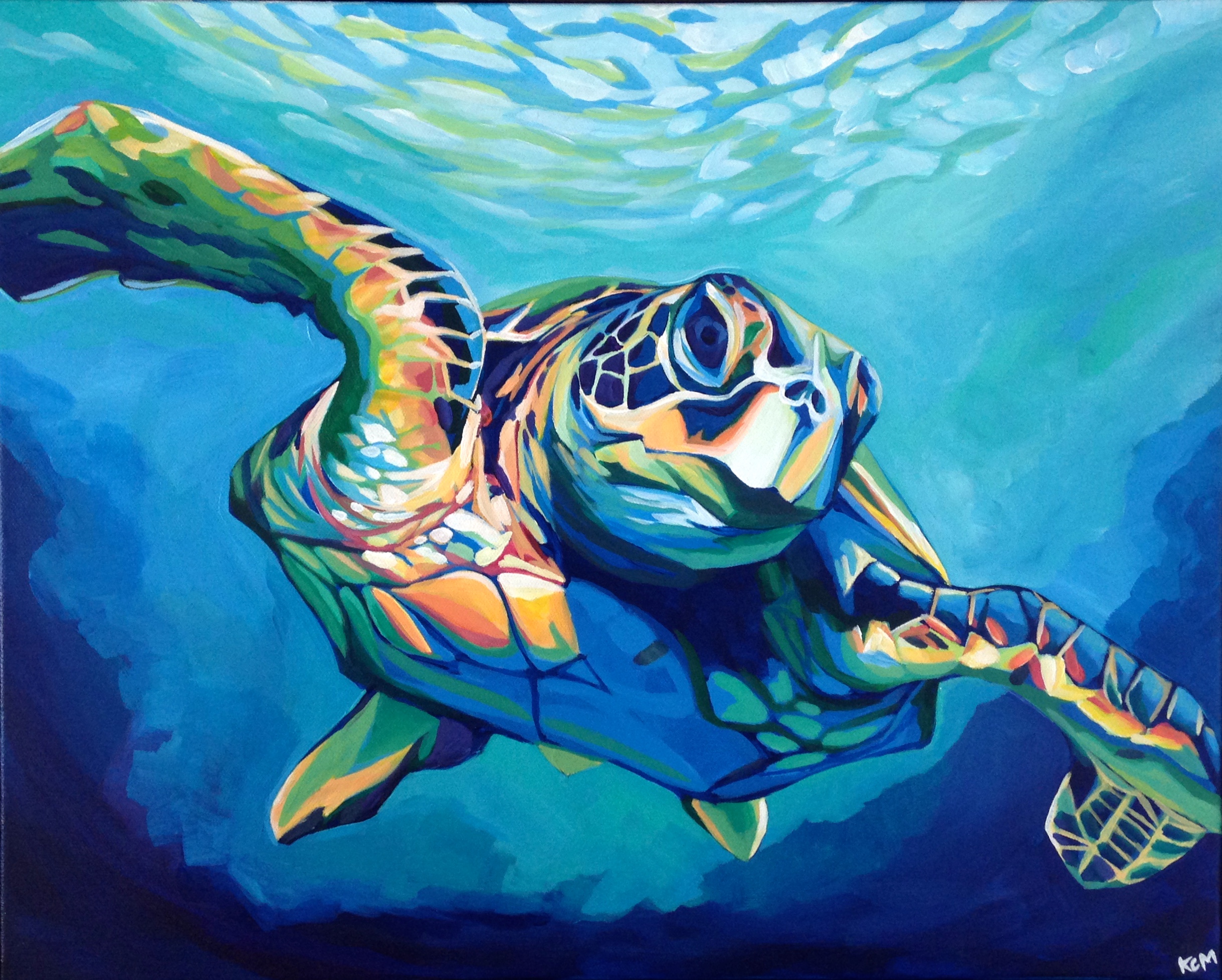 GreenTurtle.JPG