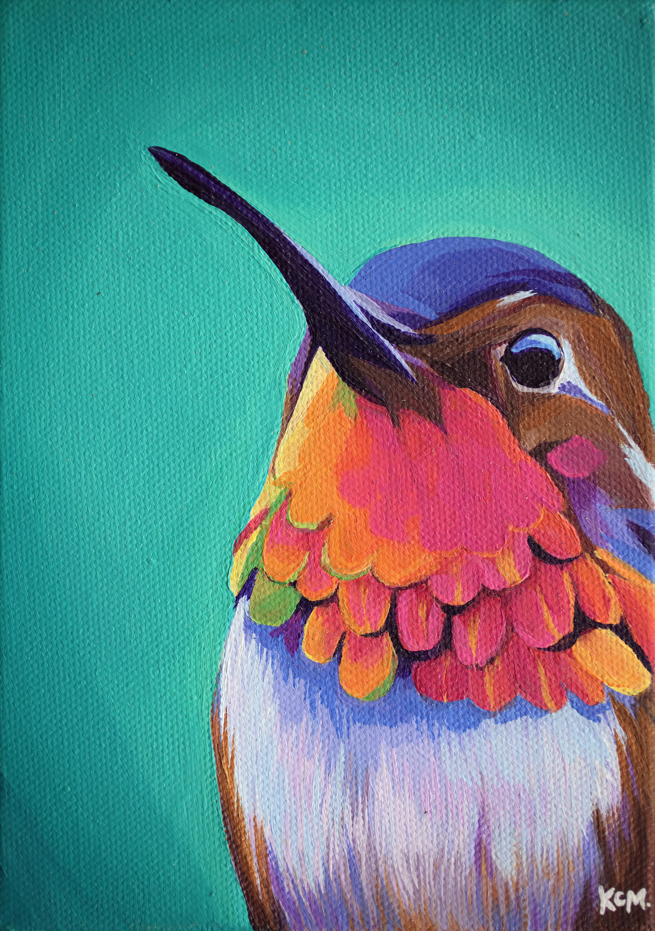 Hummingbird Profile.jpg