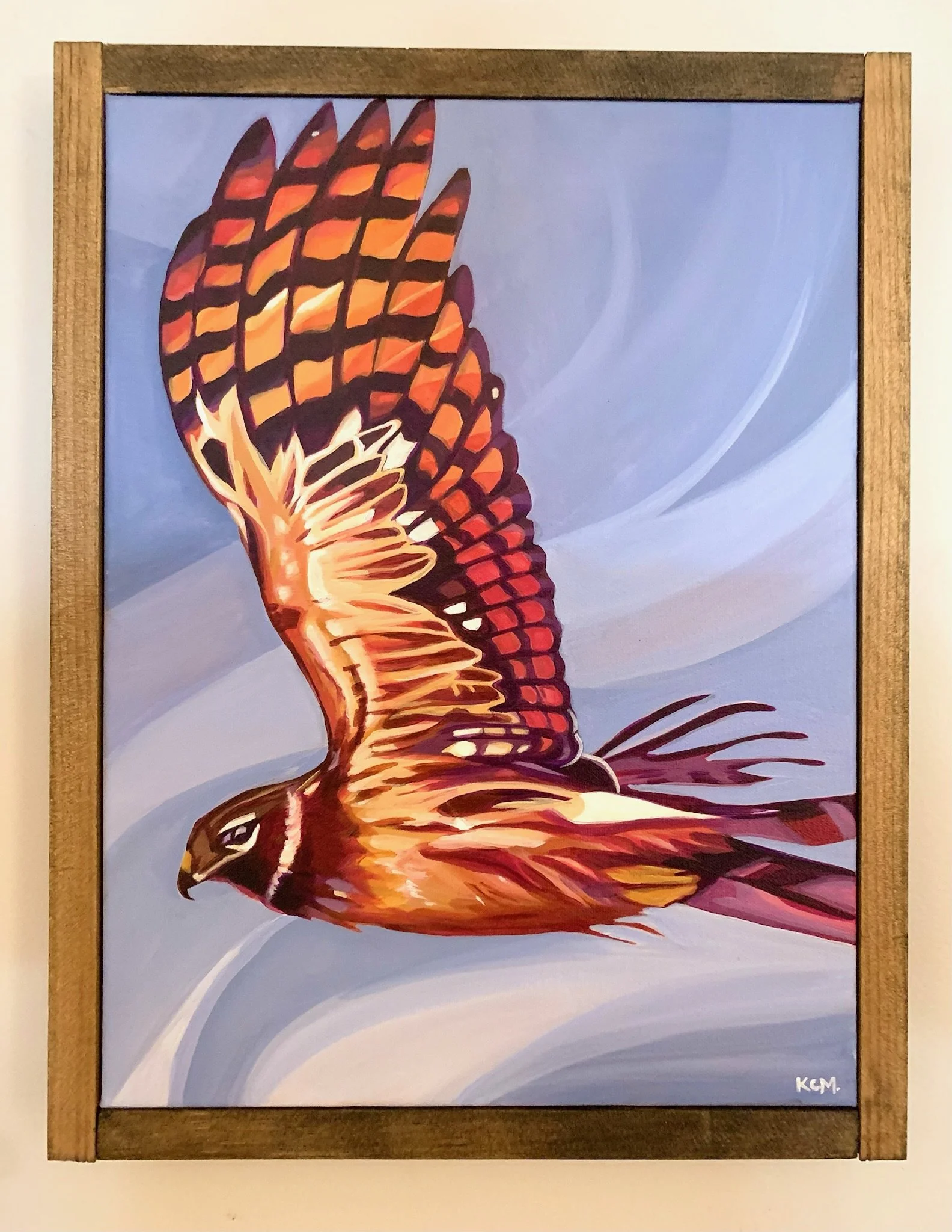 %22Fly By%22 framed.jpeg