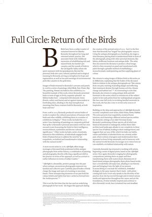 Full Circle: Return of the Birds