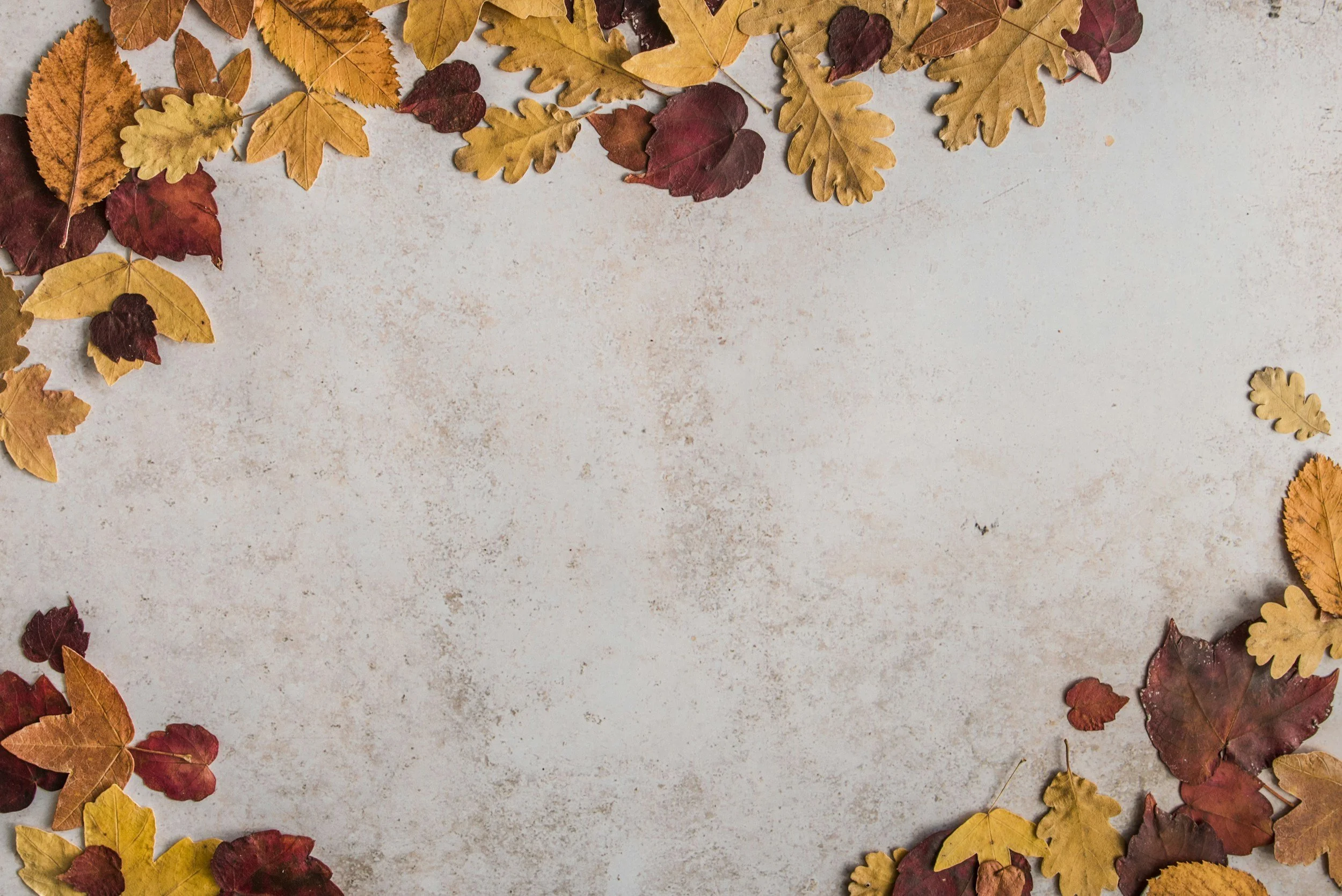 Fall programming information will be announced on August 22
