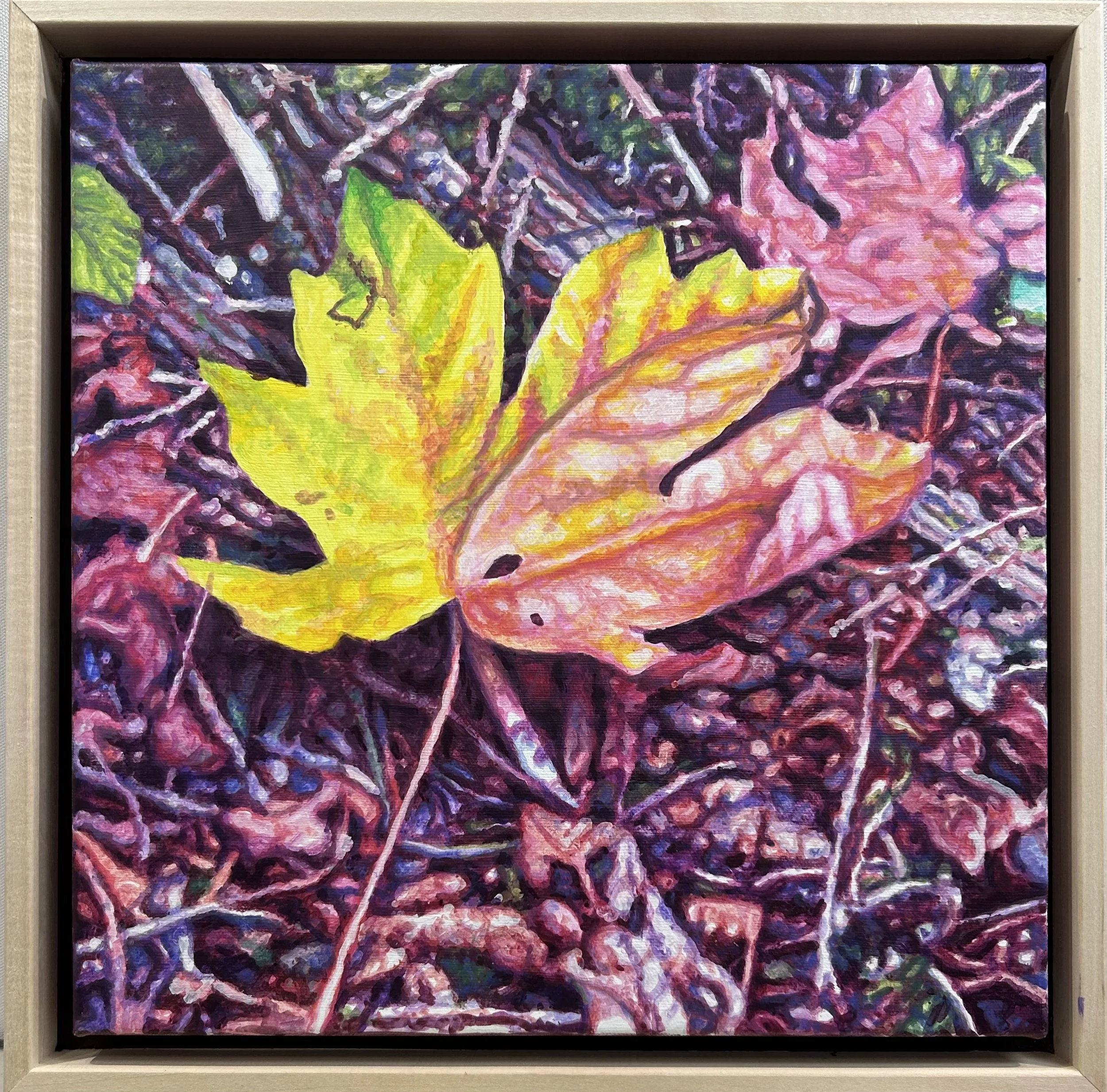  Ward Schell  Maple Leaf  acrylic on canvas  25.4 x 25.4 cm 