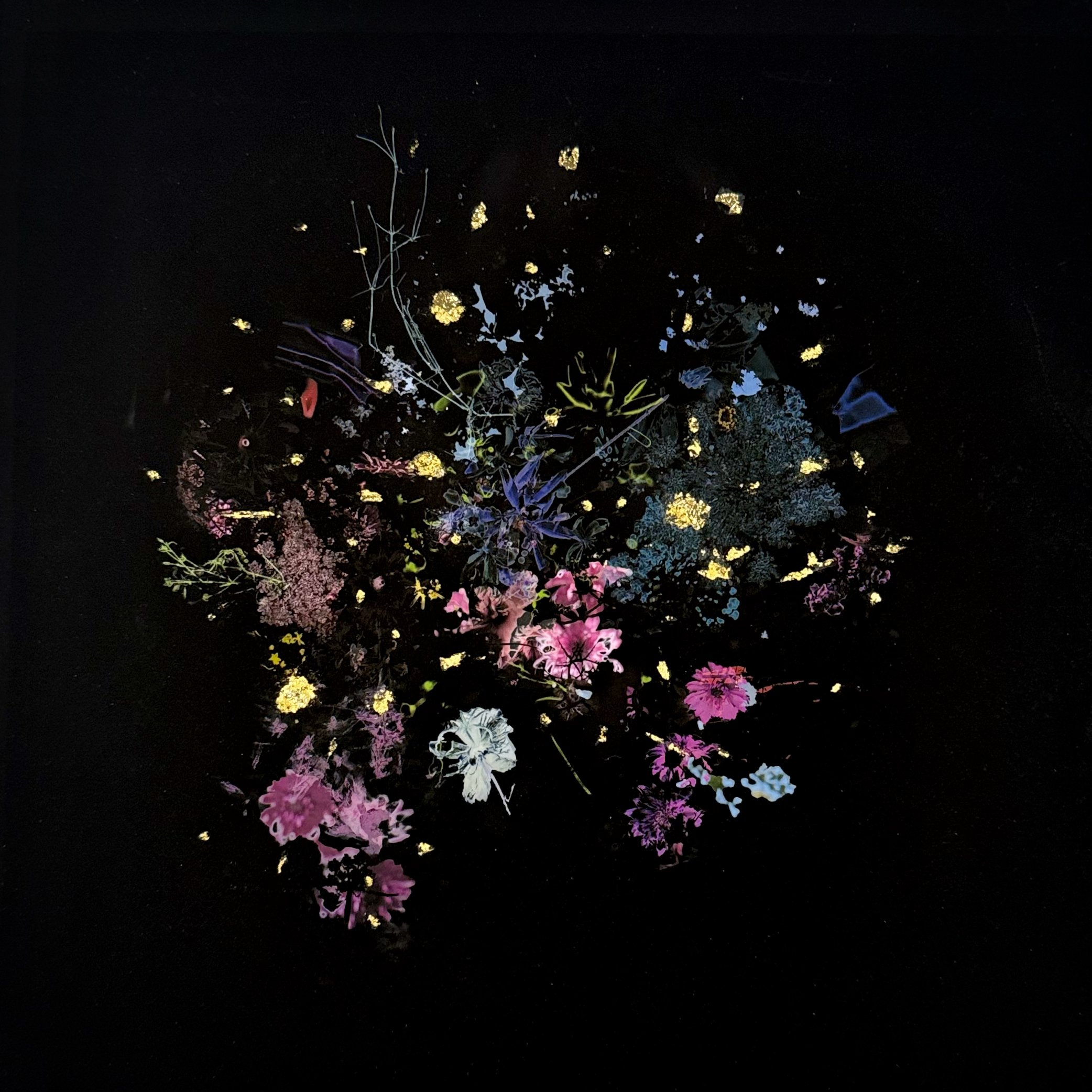  Gabriela Garcia-Luna  Lift I  archival ink on birch, gold leaf, 1/3  20.3 x 20.3 cm, 2024 