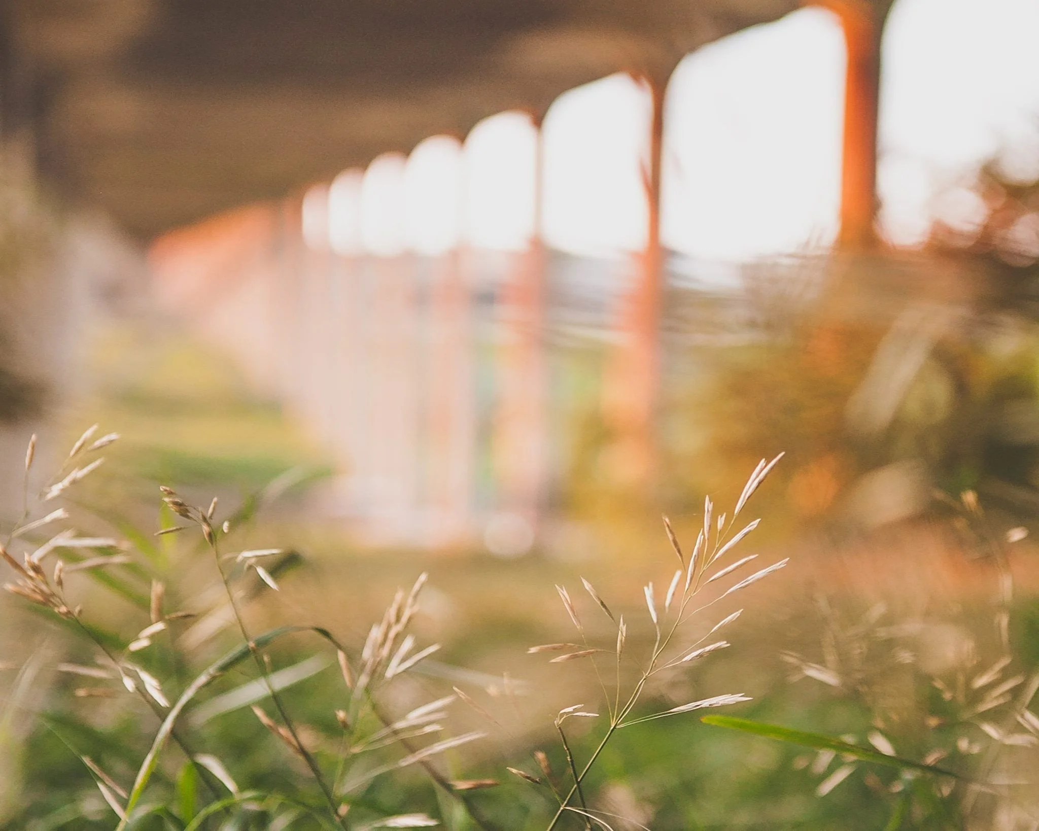  Jennifer Warren   Viaduct  chromogenic print  20.3 x 25.4 cm 