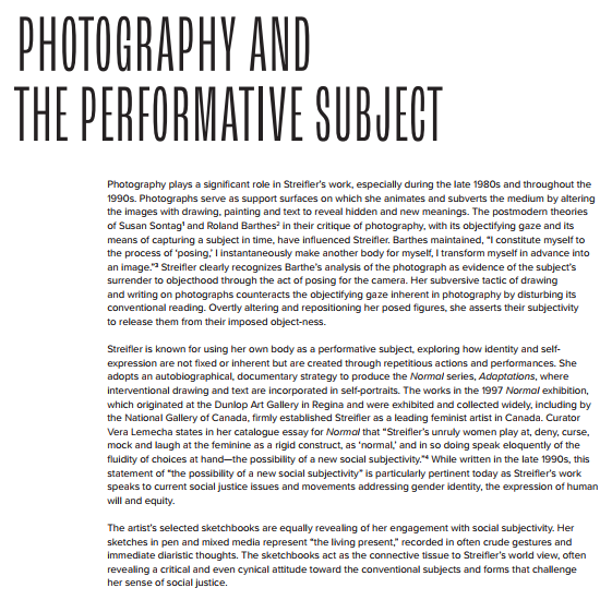 Photography and the Performative Subject