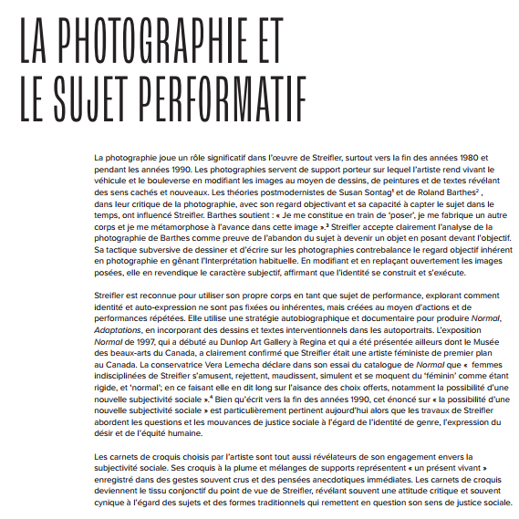La Photographie et le Sujet Performatif