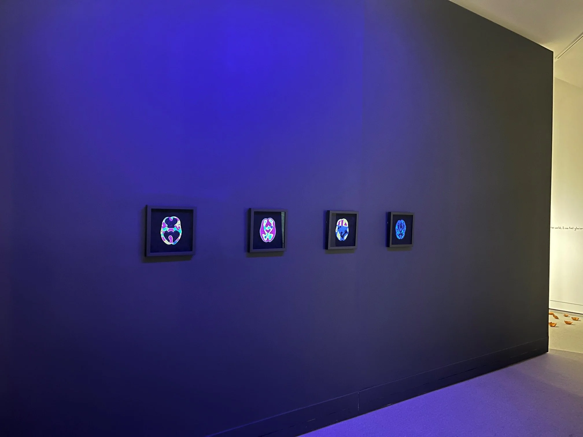   Unsilenced , Installation view of 4 works by Ruth Cuthand 