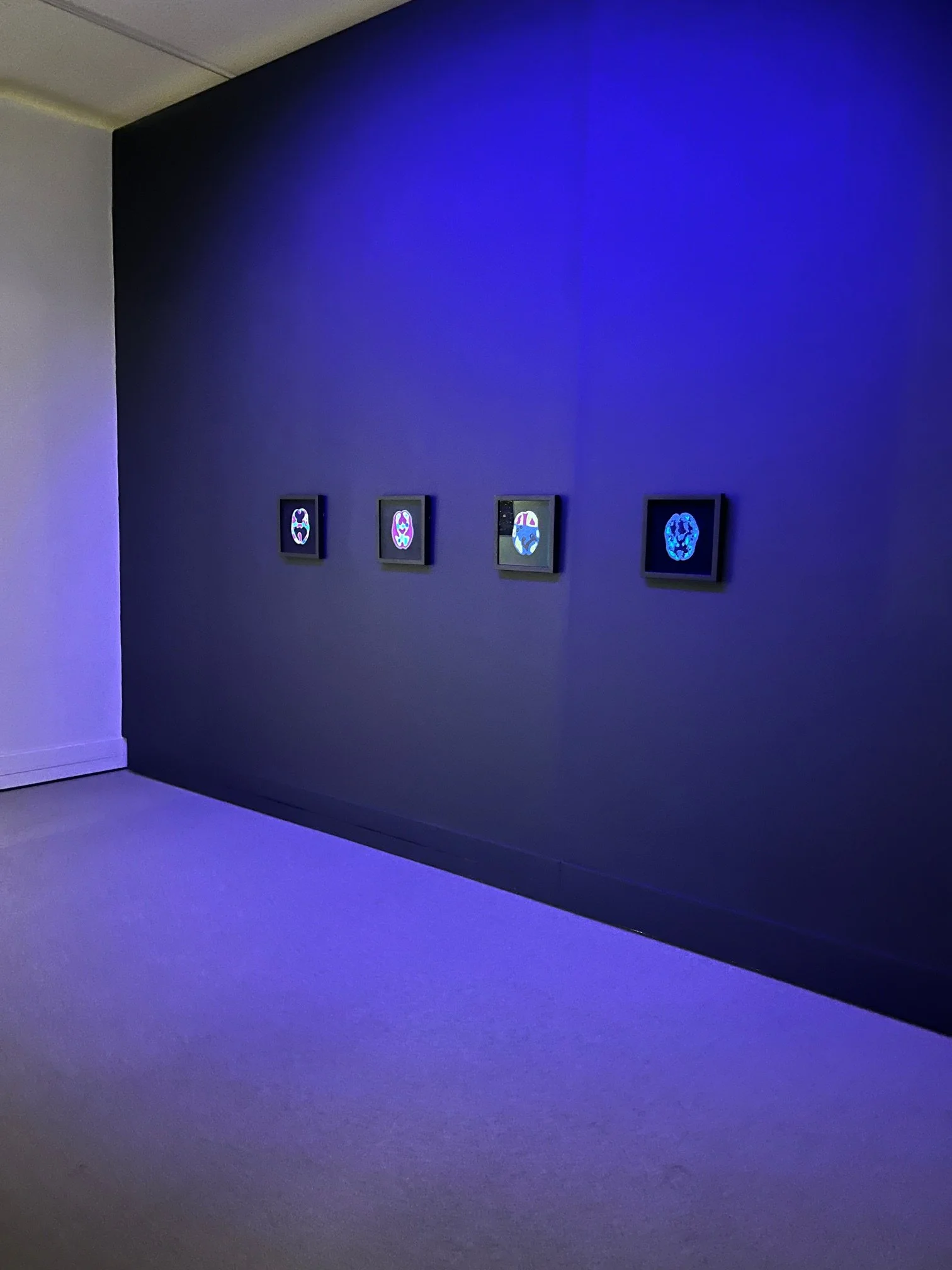   Unsilenced , Installation view of 4 works by Ruth Cuthand 